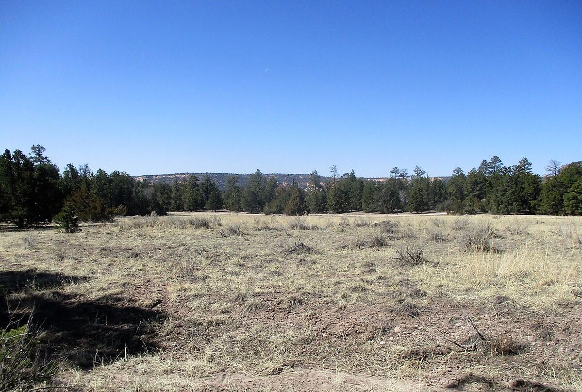 Lot 13 Woodland Drive, Ramah, NM 87321