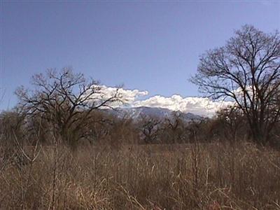 6998 Corrales Road, Corrales, NM 87048