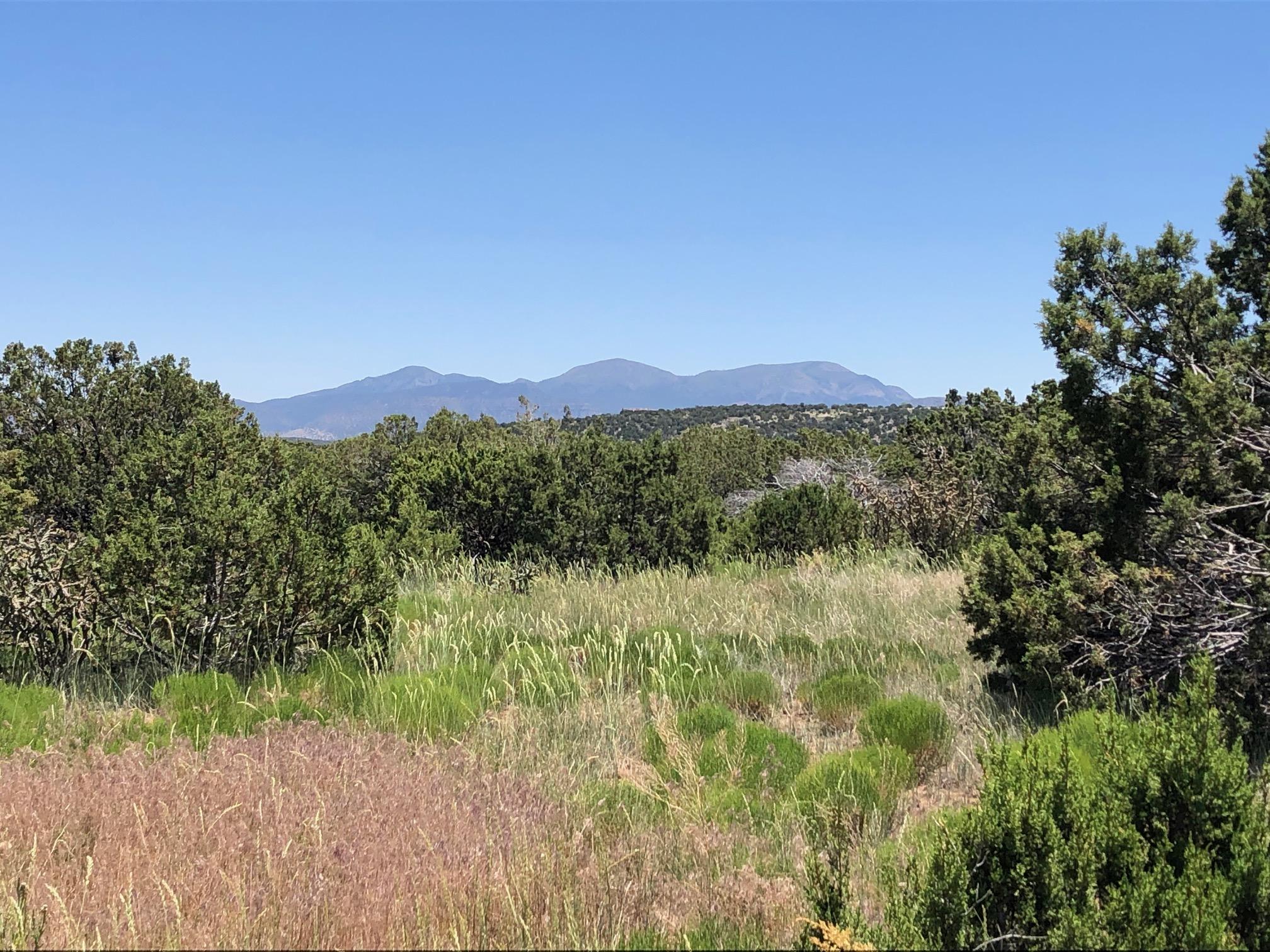 Land for sale in Sandia Park, New Mexico, 1011922