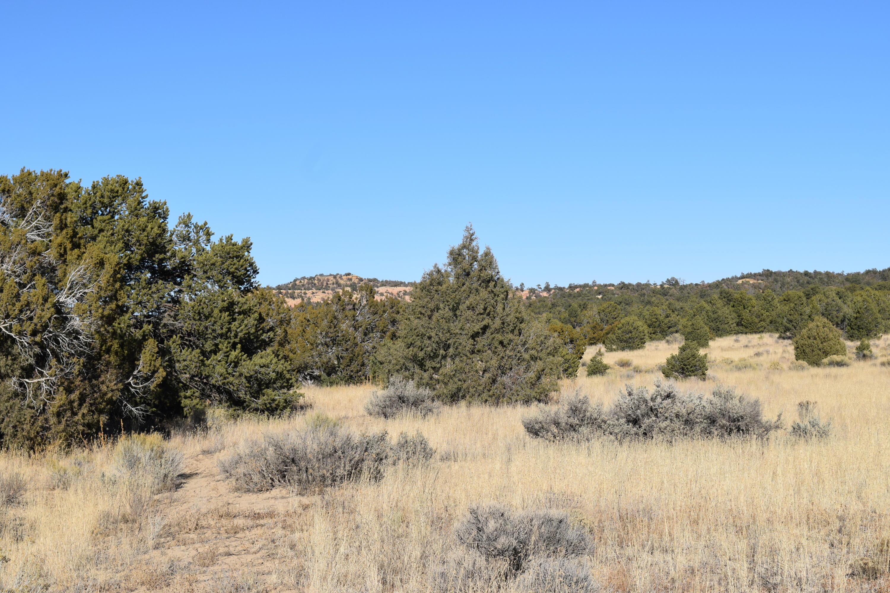Lot 23 David's Rock Subd, Ramah, NM 87321