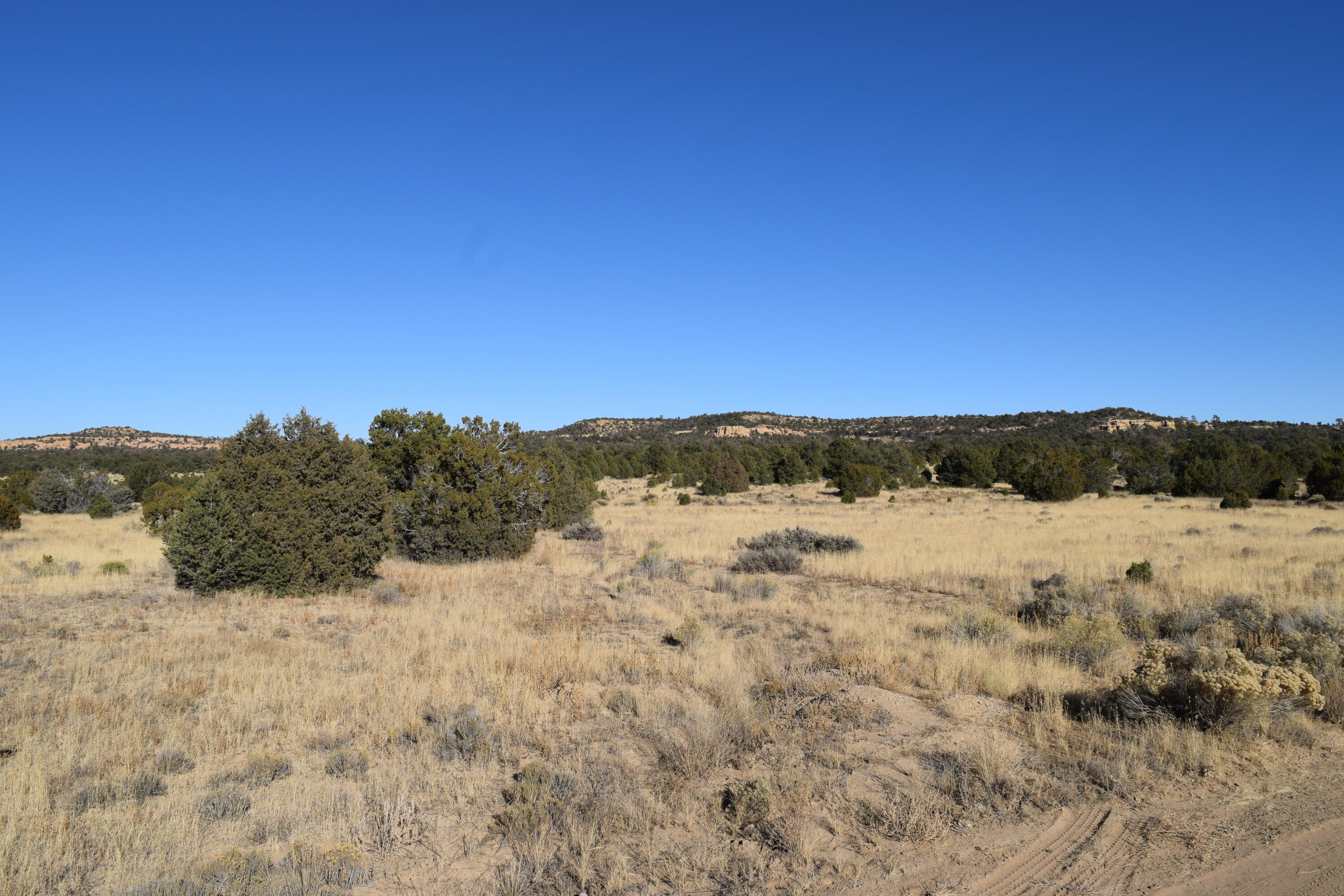 Lot 24 David's Rock Subd, Ramah, NM 87321