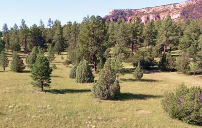 Lot 9 Sunrise Way, Ramah, NM 87321