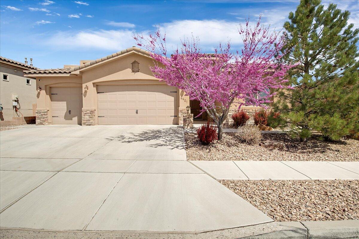6401 Camino De Paz Road NW, Albuquerque, NM 87120