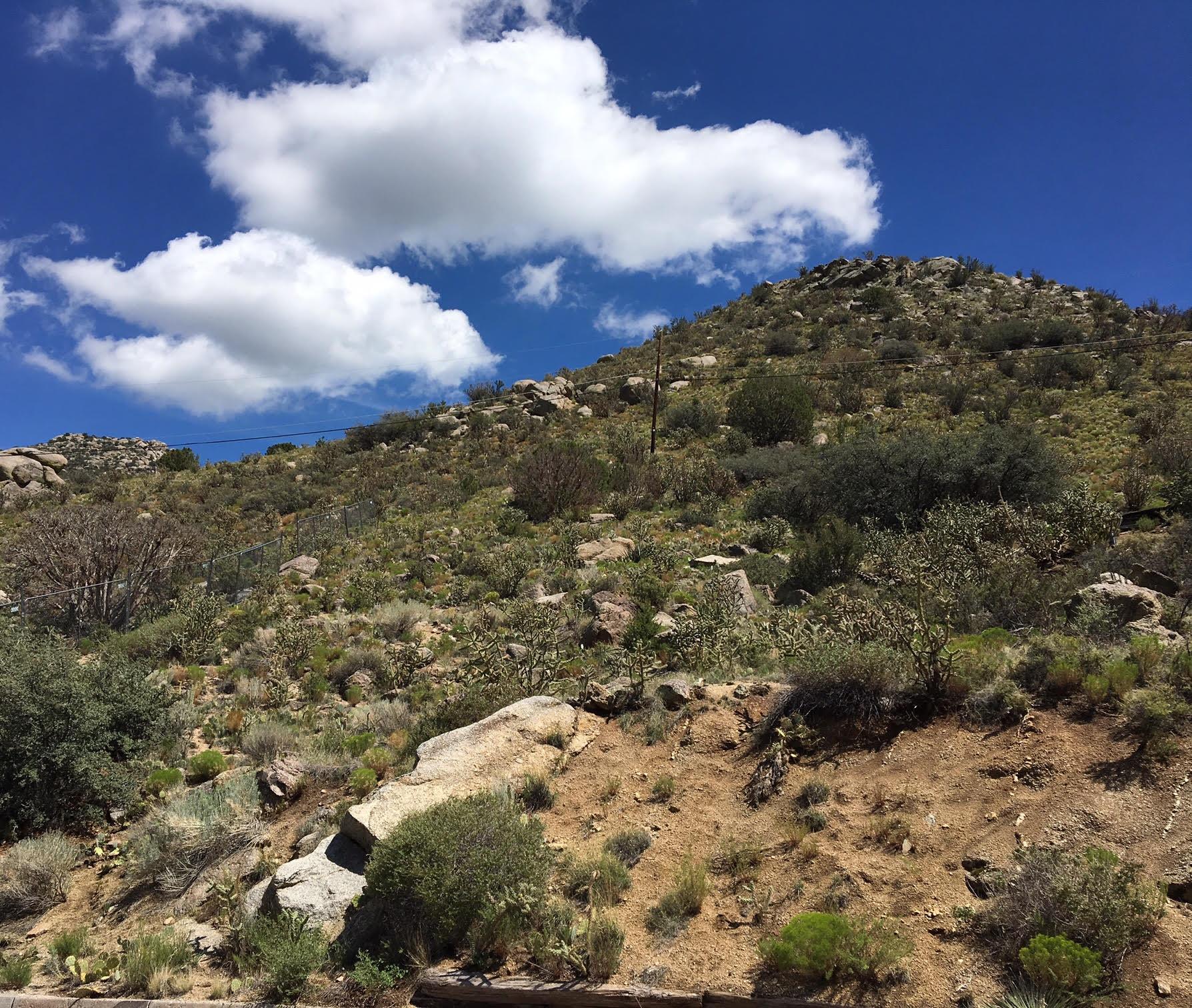 4424 Skyline Court NE, Albuquerque, NM 87111