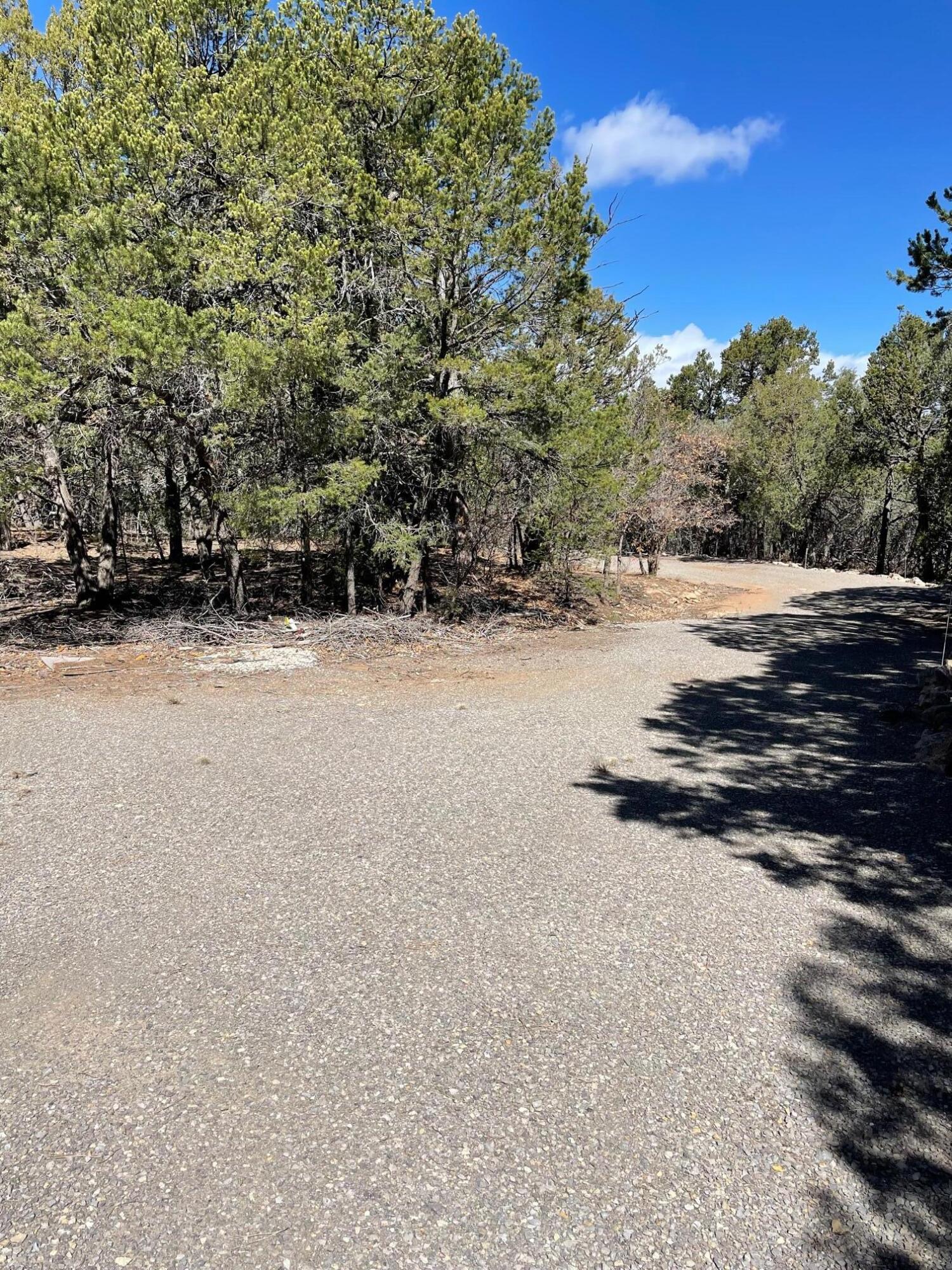 123/124 Whispering Pines Road, Tijeras, NM 87059