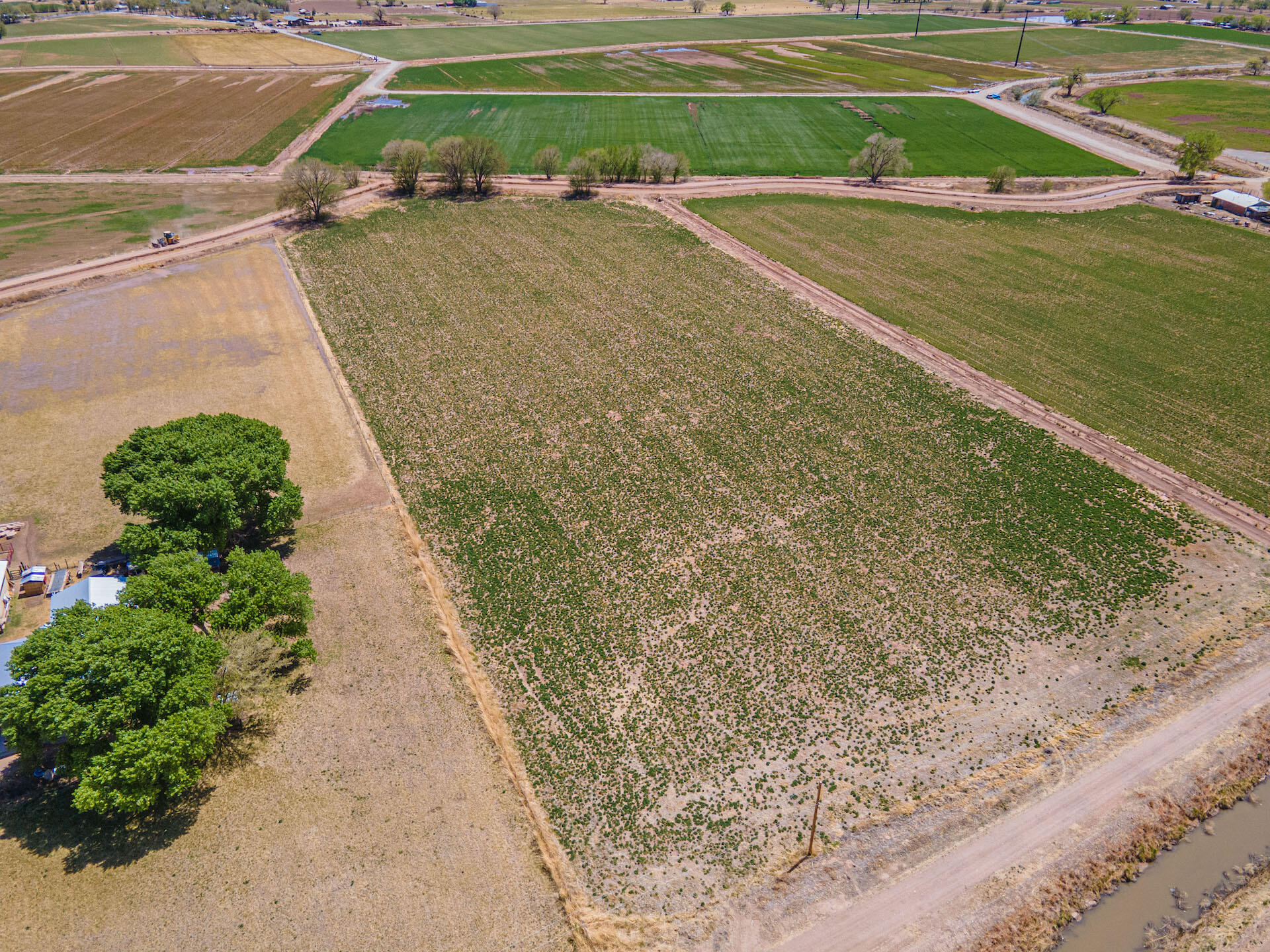 Highway 116, Bosque, NM 87006