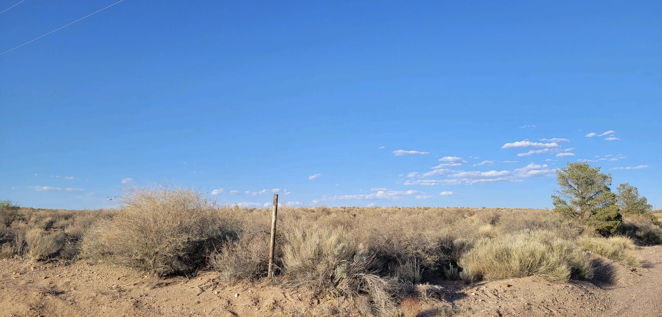 Salt Cedar, Veguita, NM 87062