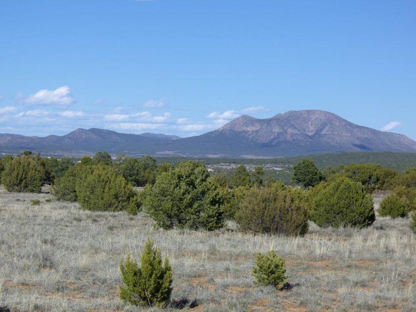 34 Mustang Mesa Trail