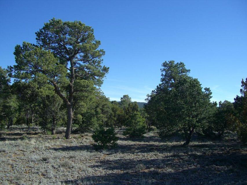 34 Mustang Mesa Trail