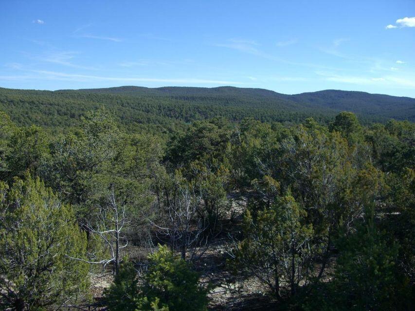 34 Mustang Mesa Trail