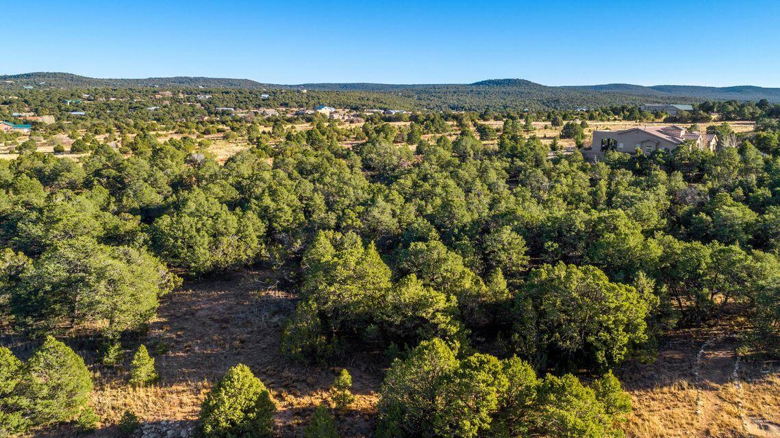 34 Mustang Mesa Trail