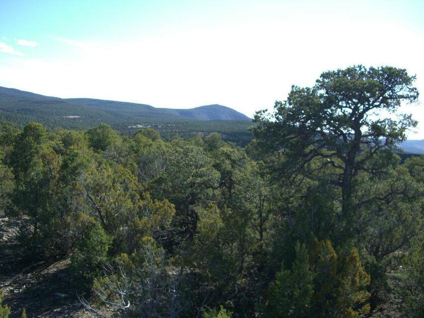 34 Mustang Mesa Trail