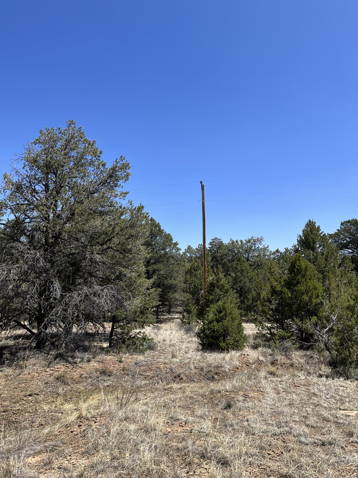 Lot 6 Bodean, Ramah, NM 87321