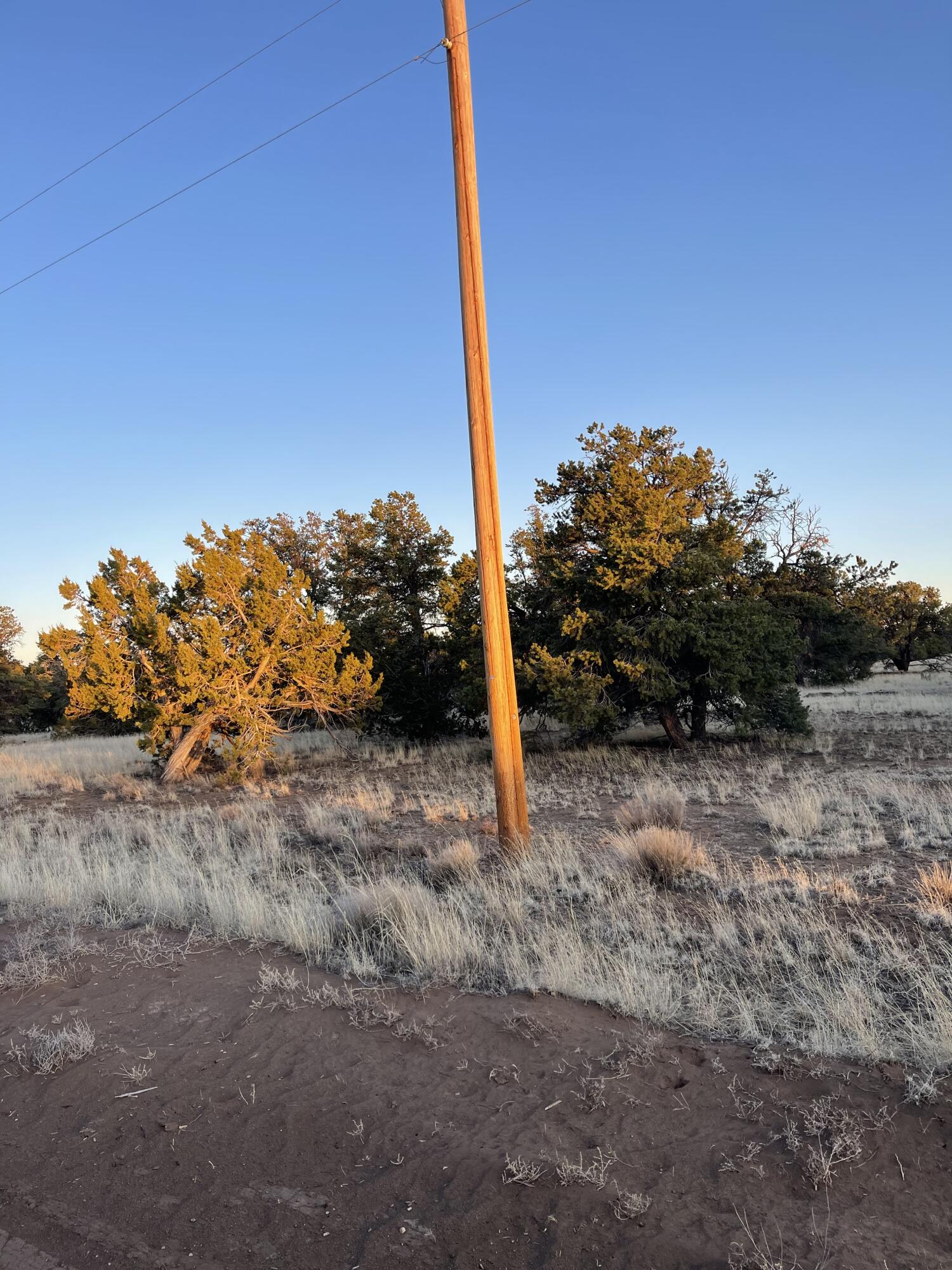 Lot 15 Native Drum Pass, Ramah, NM 87321