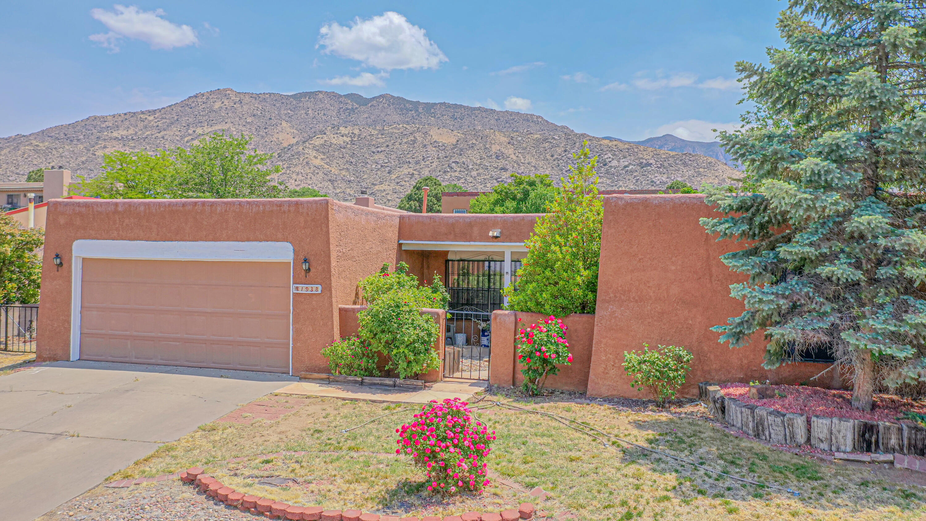 Spacious single level 4 bedroom, 2 bath home in the beautiful Foothills of Albuquerque. Brand new carpet and paint throughout. Enjoy summers in your refreshing inground gunite pool, while you enjoy beautiful backyard views of the Sandias. This one wont last long! Schedule your showing today.