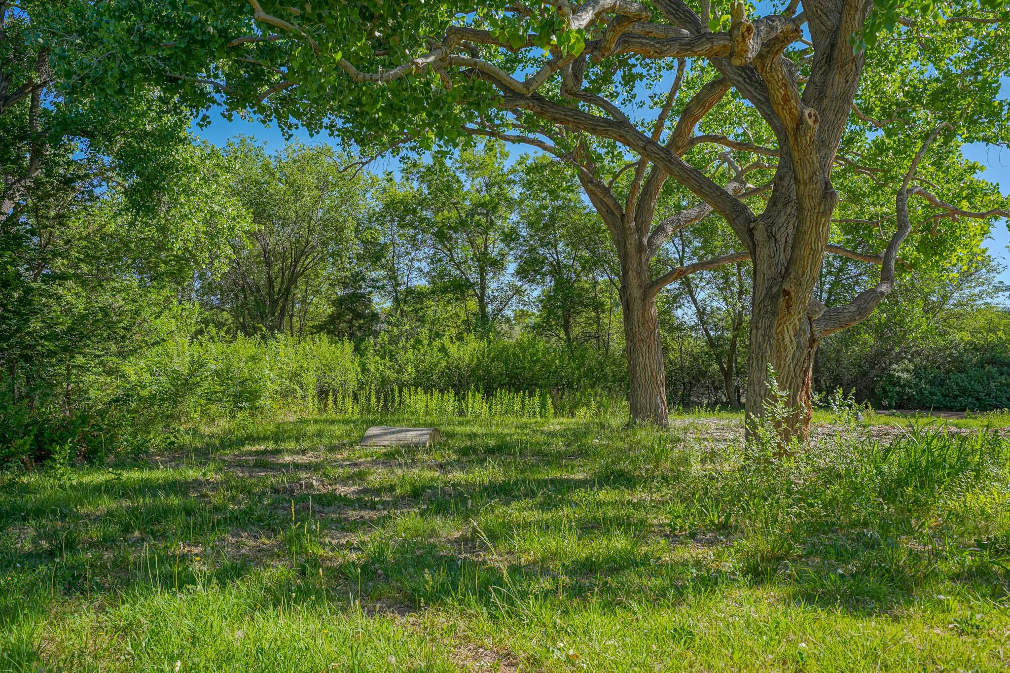 Rare opportunity to build your dream home in THE HEART OF SOUTH CORRALES on a hard to find, level, green, tree laden, 1.08 irrigated acre bordering 5.5 acres of open space. Spectacular winter mountain view with a verdant fruit tree orchard and mature shade trees. On a paved road near the mid irrigation acequia with access to many miles of trails. The iconic Corrales Library, Village Pizza, Ex Novo, Hannah & Nate's, Quaint Shops and services close by. The Sand Hill Cranes winter on the property. Zoned for horses, chickens, and other farm animals. Electricity on property; natural gas in street; a vacated well may possibly be rejuvenated per a recent well inspectors opinion. The Village of Corrales is the ''Horse Capital of New Mexico'' and safest city in NM and ''In Town Country.''