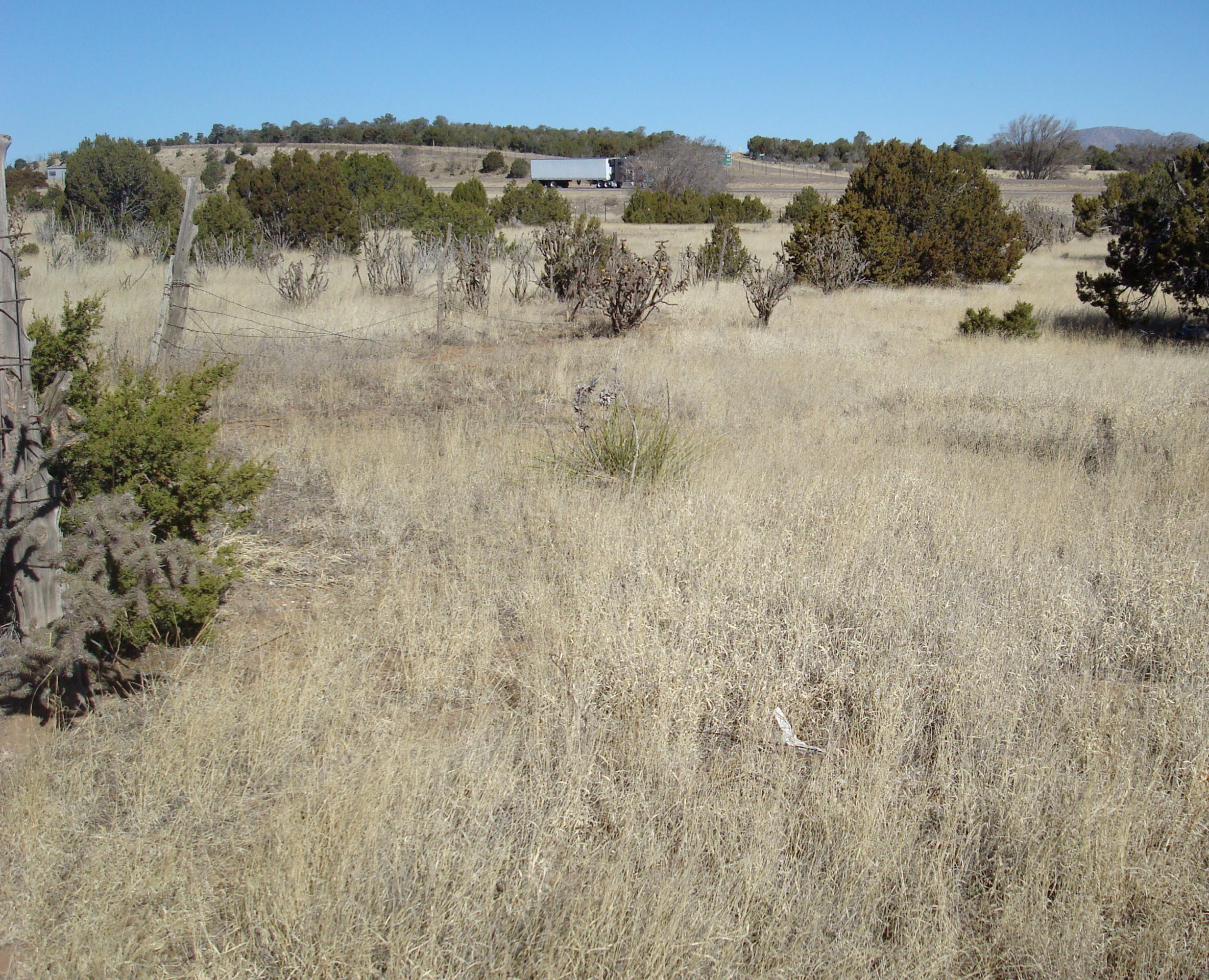 1865 Rte 66, Edgewood, NM 87015