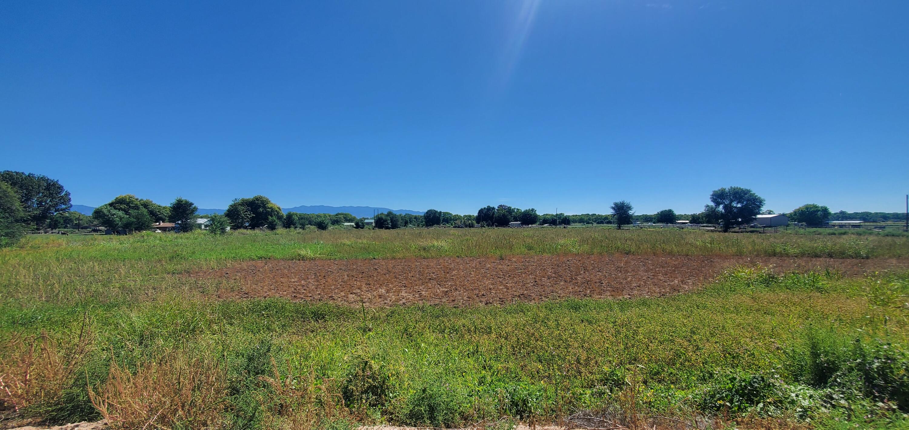 Vicente Road, Los Chavez, New Mexico 87002, ,Land,For Sale, Vicente Road,1023306