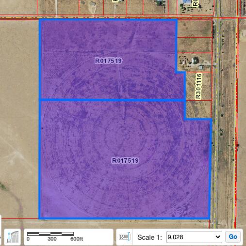 126+/- Ac. NM-41, Moriarty, New Mexico 87035, ,Farm,For Sale, 126+/- Ac. NM-41,1024607
