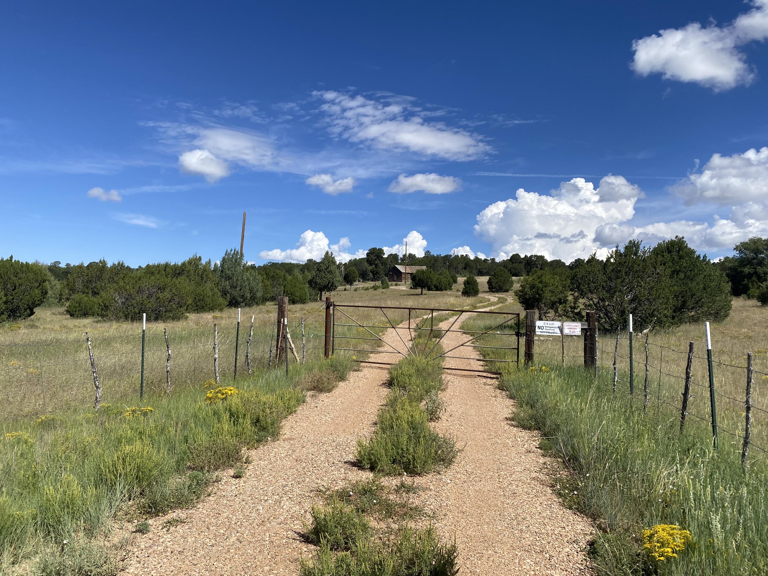 135 Gonzales Road, Tijeras, New Mexico 87059, ,Land,For Sale,135 Gonzales Road,1025848