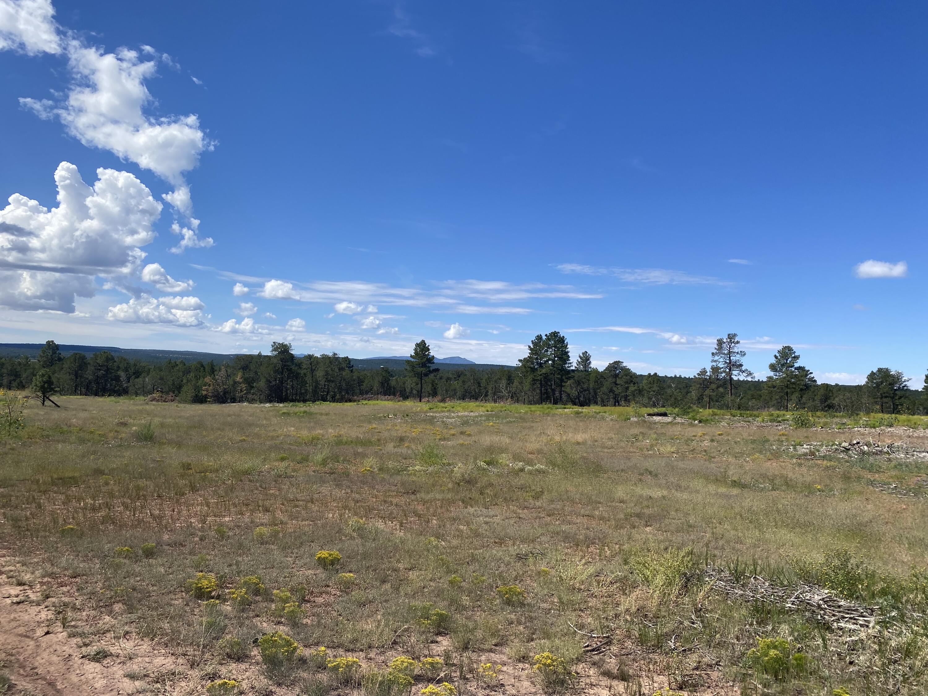 135 Gonzales Road, Tijeras, New Mexico 87059, ,Land,For Sale,135 Gonzales Road,1025848