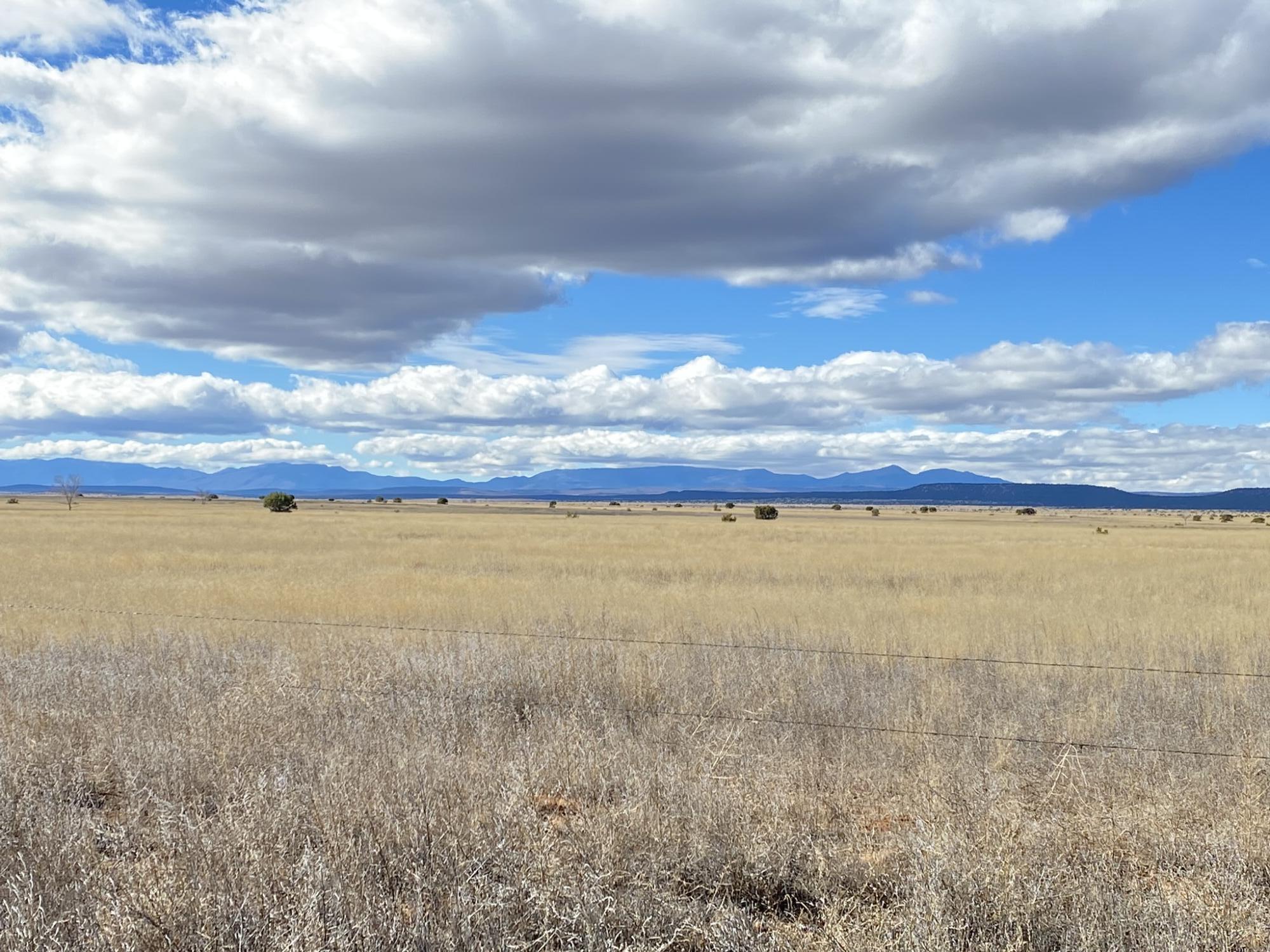 Sky View Lane, Moriarty, New Mexico 87035, ,Land,For Sale, Sky View Lane,1026686