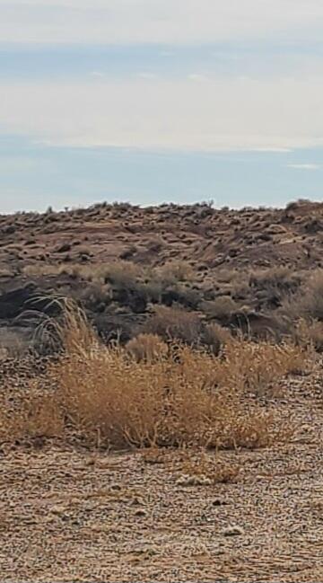 Arroyo Lot 9 Road, Los Lunas, NM 87031