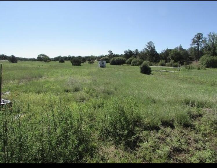 90 NM-217, Tijeras, New Mexico 87059, ,Land,For Sale,90 NM-217,1030294
