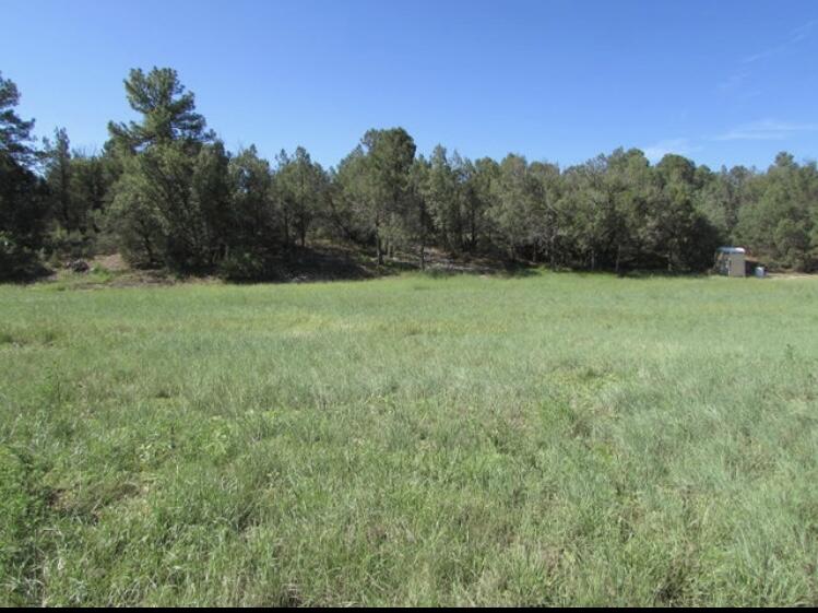 90 NM-217, Tijeras, New Mexico 87059, ,Land,For Sale,90 NM-217,1030294