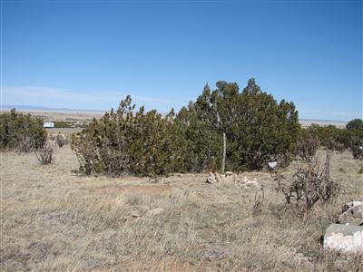 0 Us 66, Edgewood, New Mexico 87015, ,Land,For Sale,0 Us 66,1030893