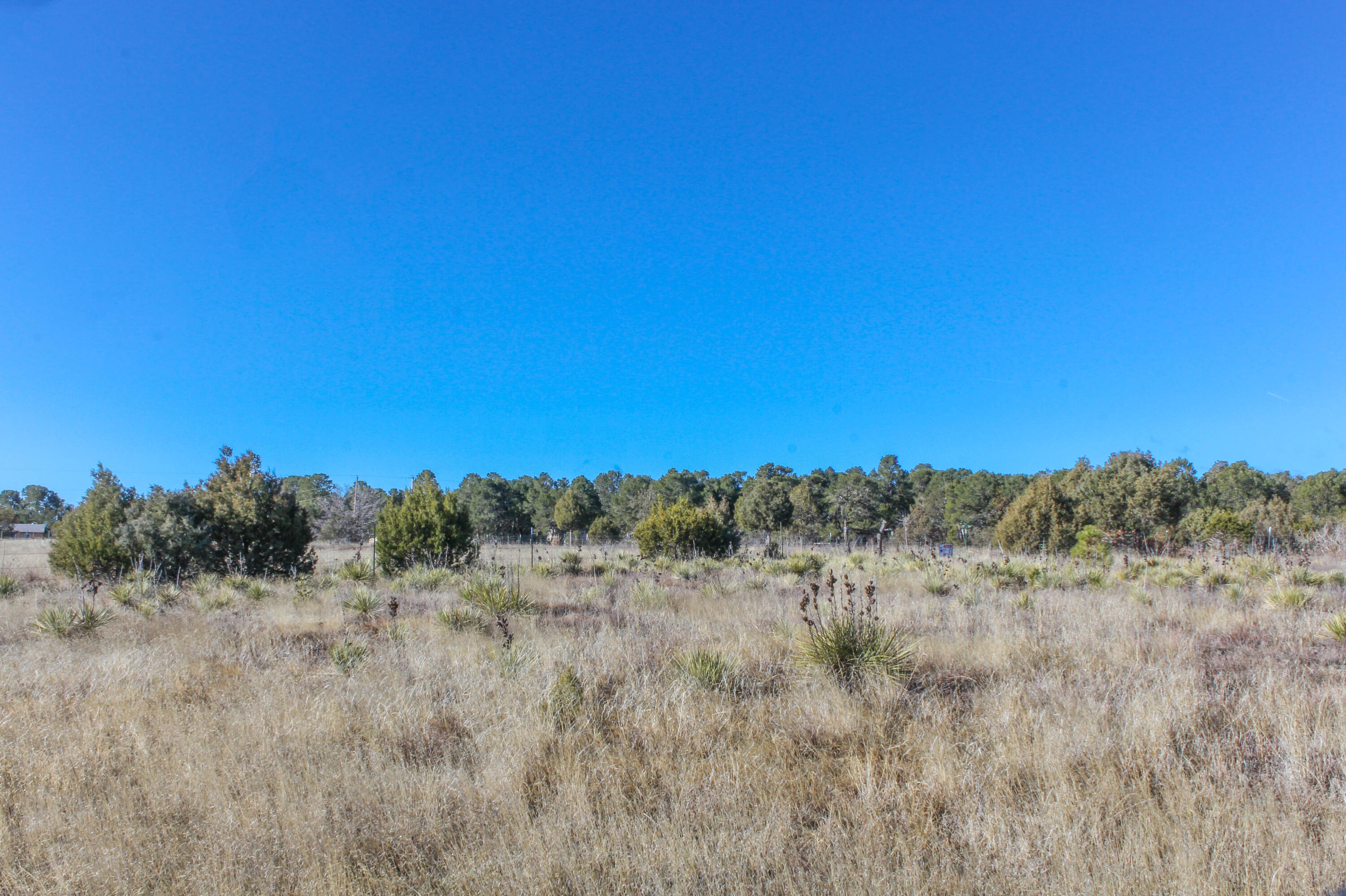 29 Alley Road, Tijeras, New Mexico 87059, ,Land,For Sale,29 Alley Road,1030929