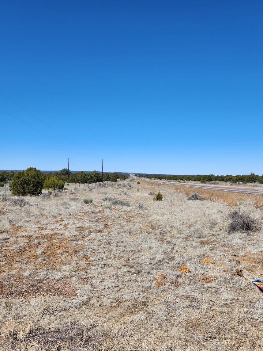 Lot 18 Skyview Ranch 18, Fence Lake, New Mexico 87315, ,Land,For Sale,Lot 18 Skyview Ranch 18,1030921