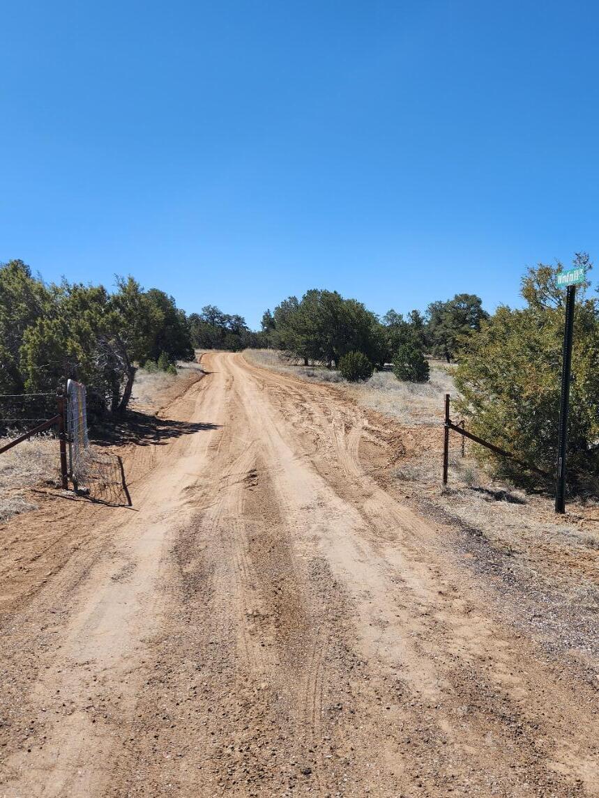 Lot 18 Skyview Ranch 18, Fence Lake, New Mexico 87315, ,Land,For Sale,Lot 18 Skyview Ranch 18,1030921
