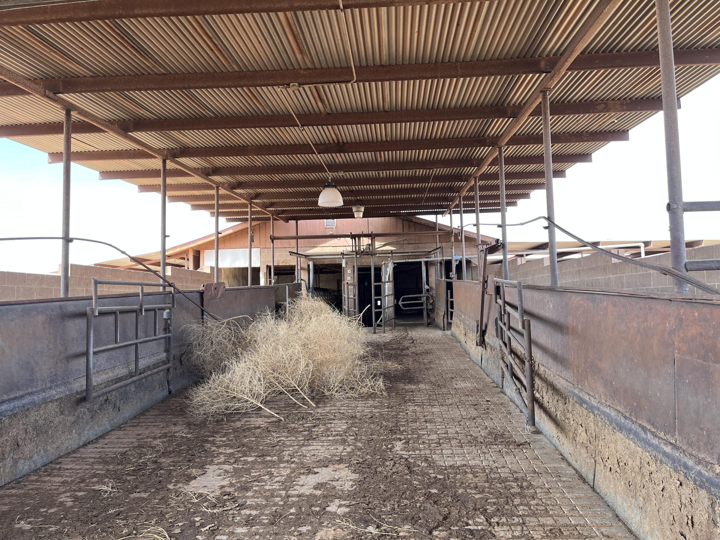 40 Miller Dairy Rd, Veguita, New Mexico 87062, ,Farm,For Sale,40 Miller Dairy Rd,1031599