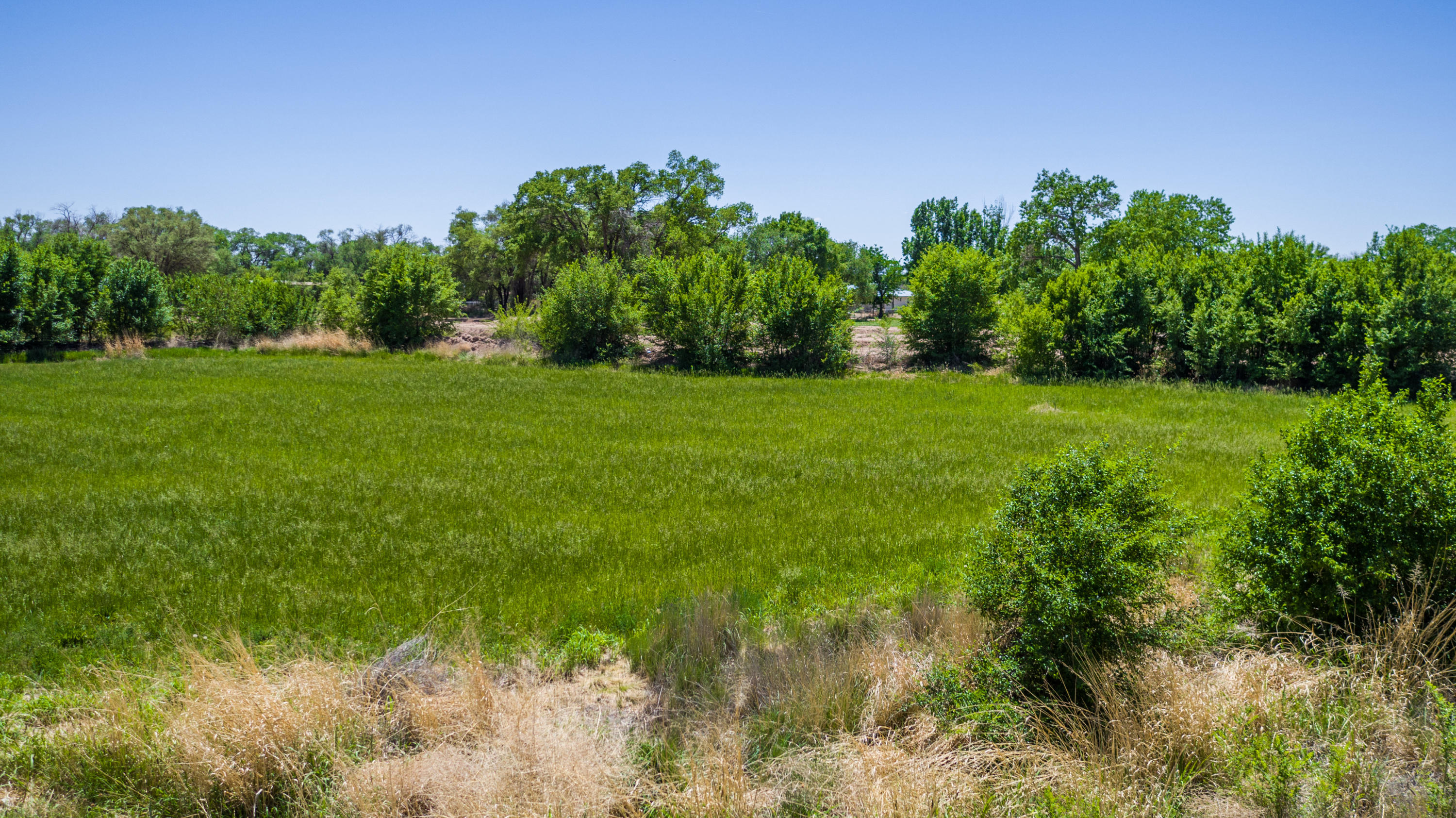 124 Nelson Court, Los Lunas, New Mexico 87031, ,Land,For Sale,124 Nelson Court,1031670