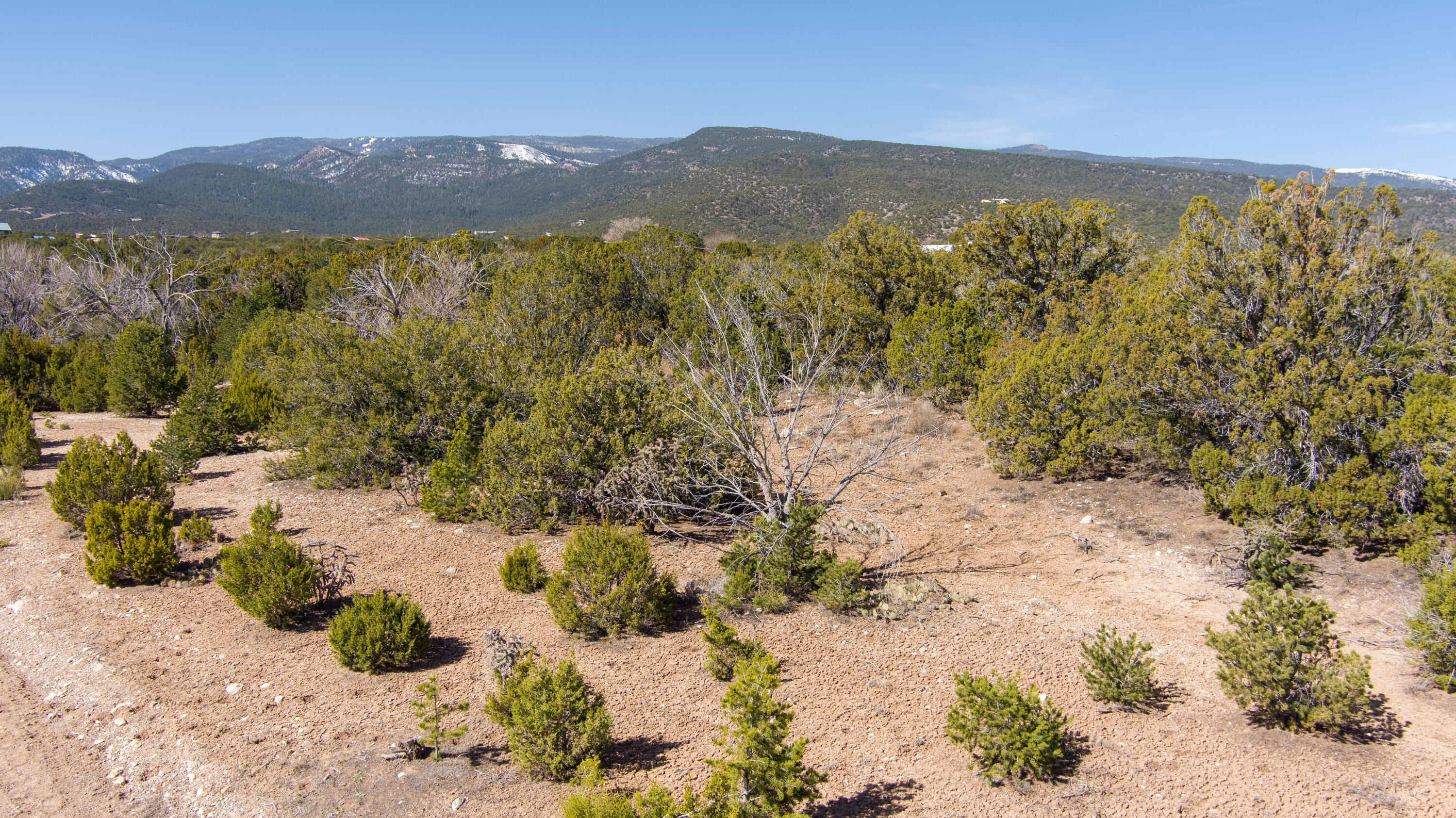 Gunsmoke Road, Sandia Park, NM 87047