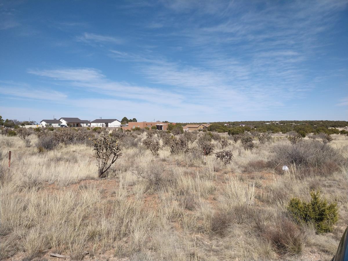 Gran Quivira Estates Hwy 55, Mountainair, New Mexico 87036, ,Land,For Sale, Gran Quivira Estates Hwy 55,1031949