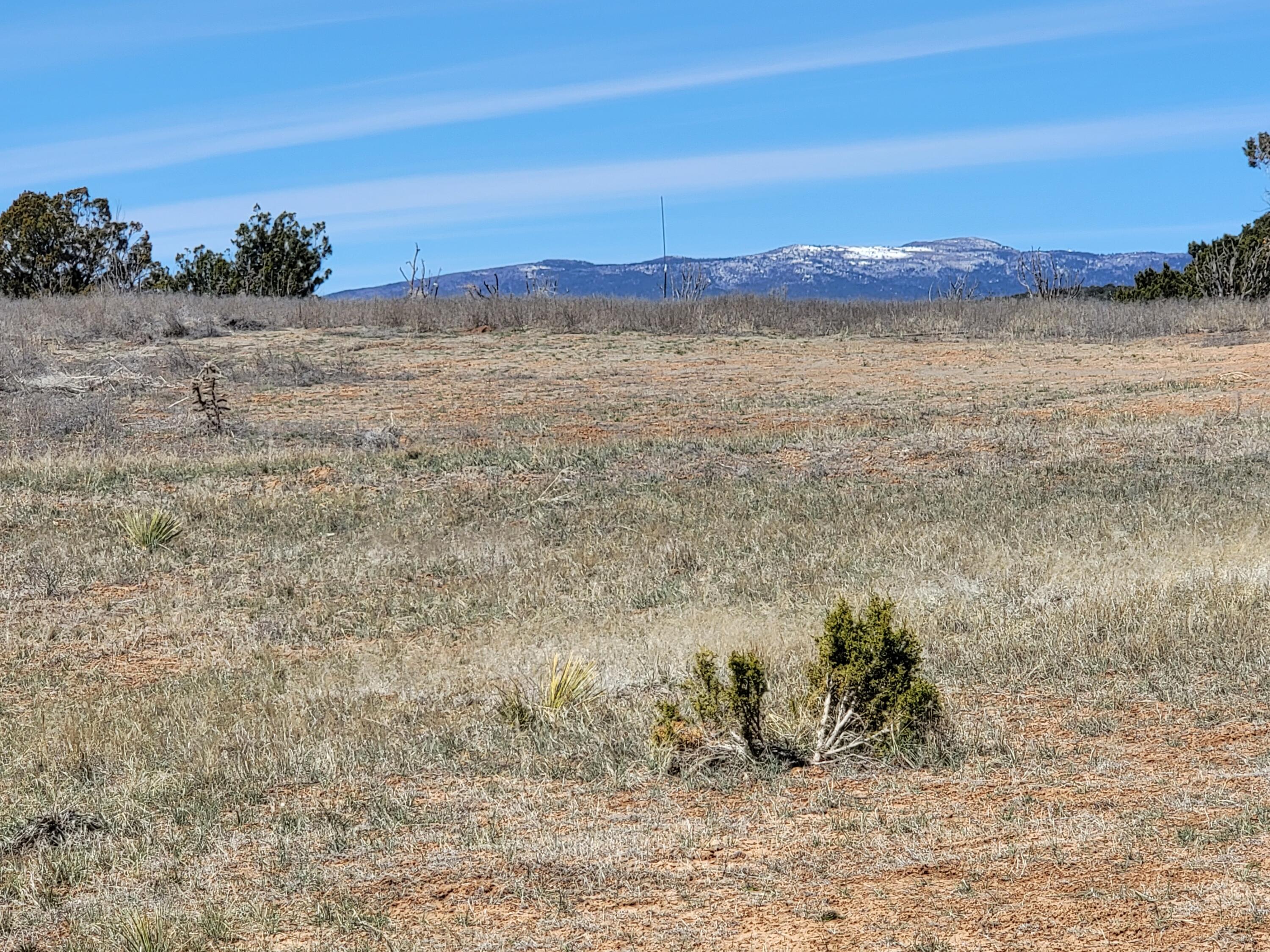 69 Joe Nestor Road, Tijeras, NM 87059