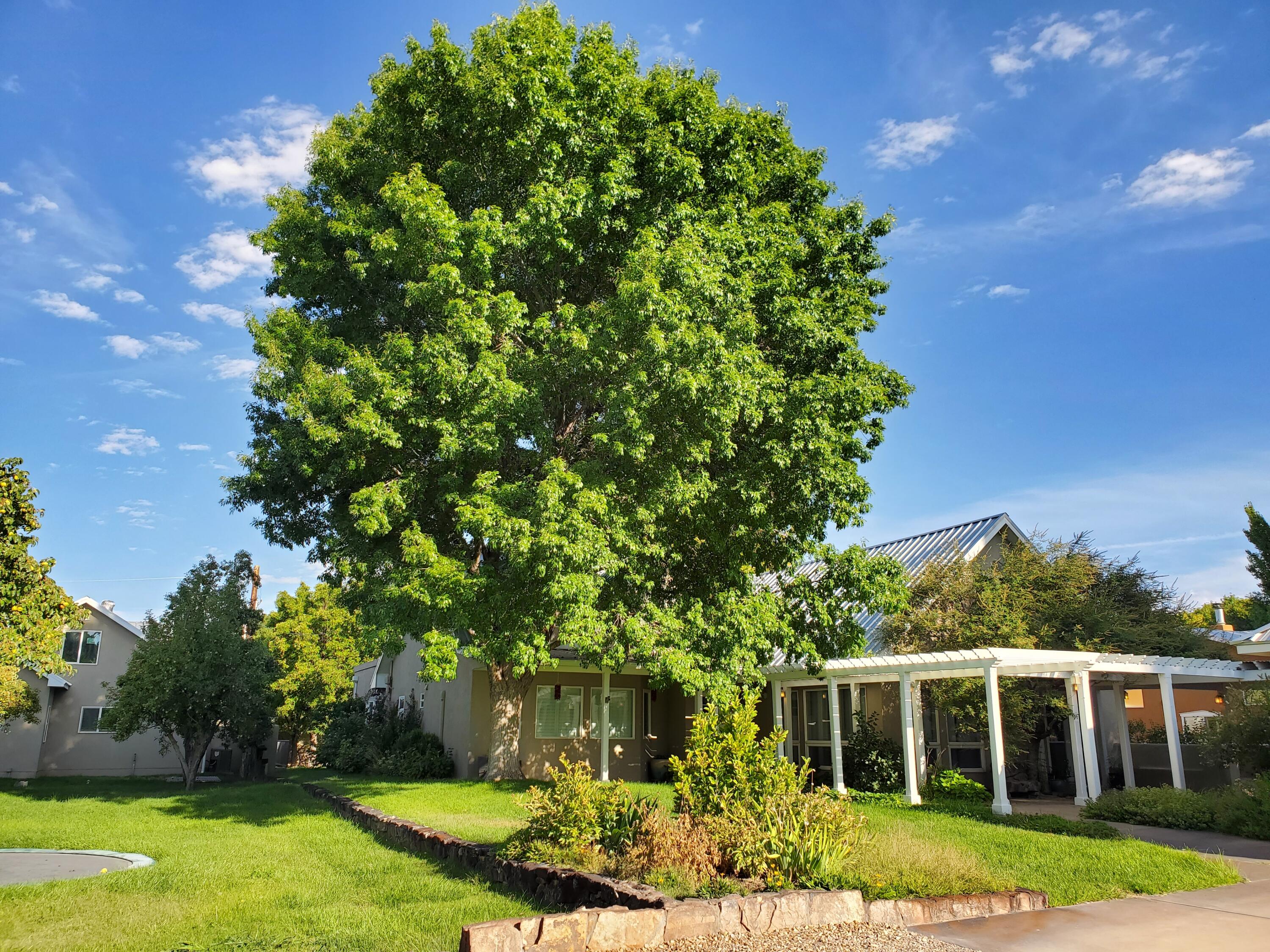 100 Rome Lane, Corrales, NM 87048