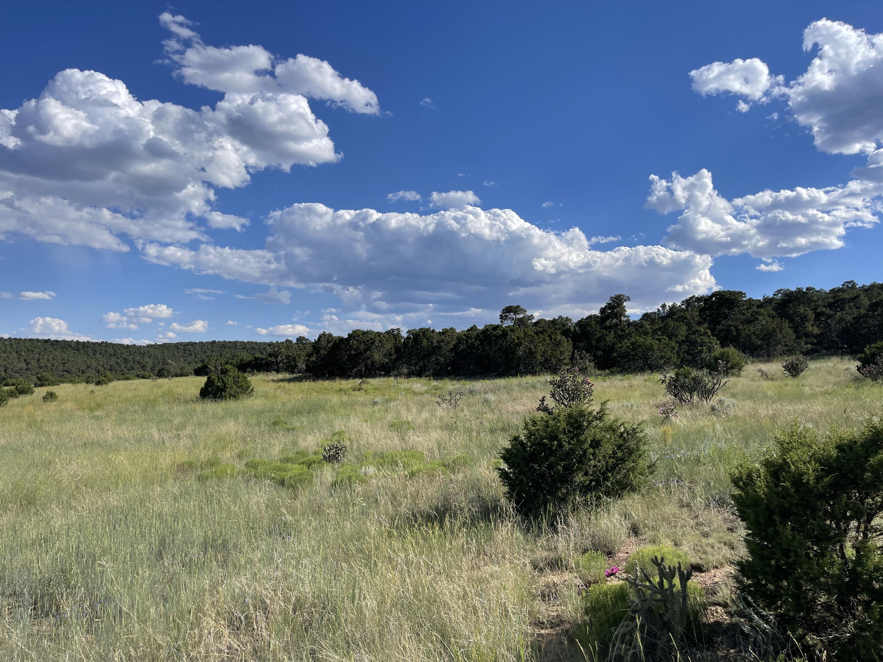 ''Lot 91'' Bolivar Loop, Tijeras, NM 87059