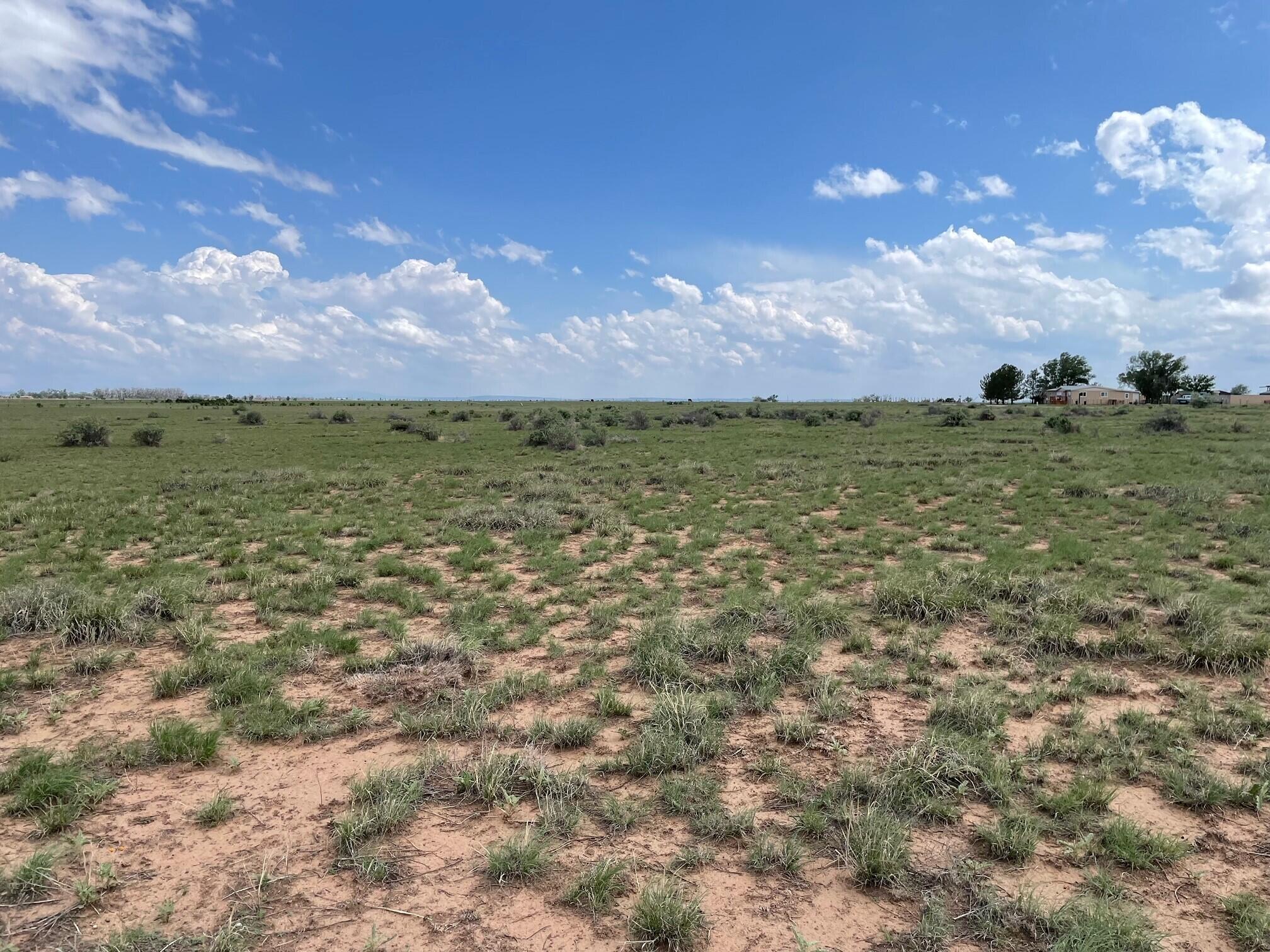 Clara Lane, McIntosh, NM 