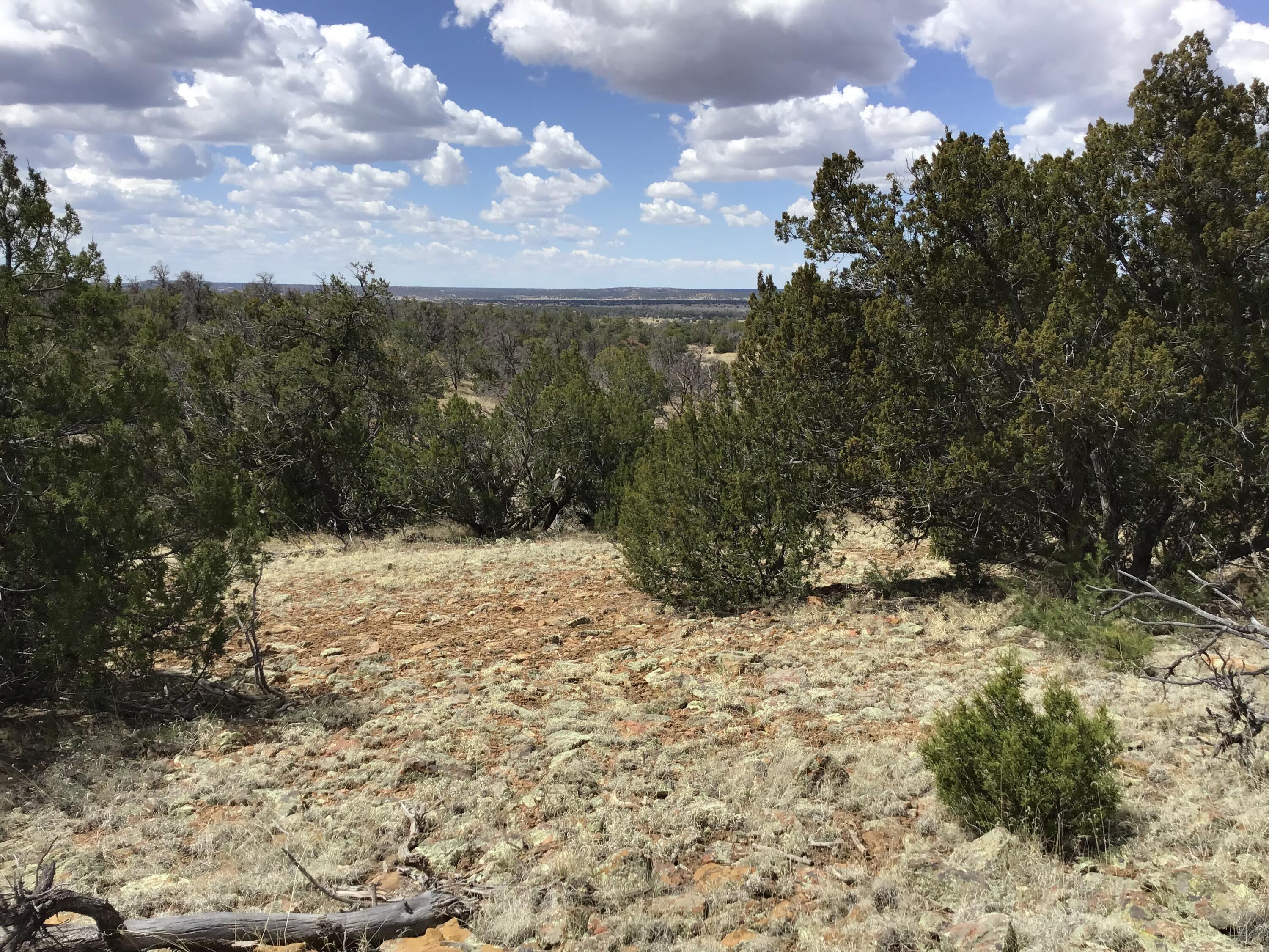 Lot 90 Peaceful Drive, Ramah, NM 87321