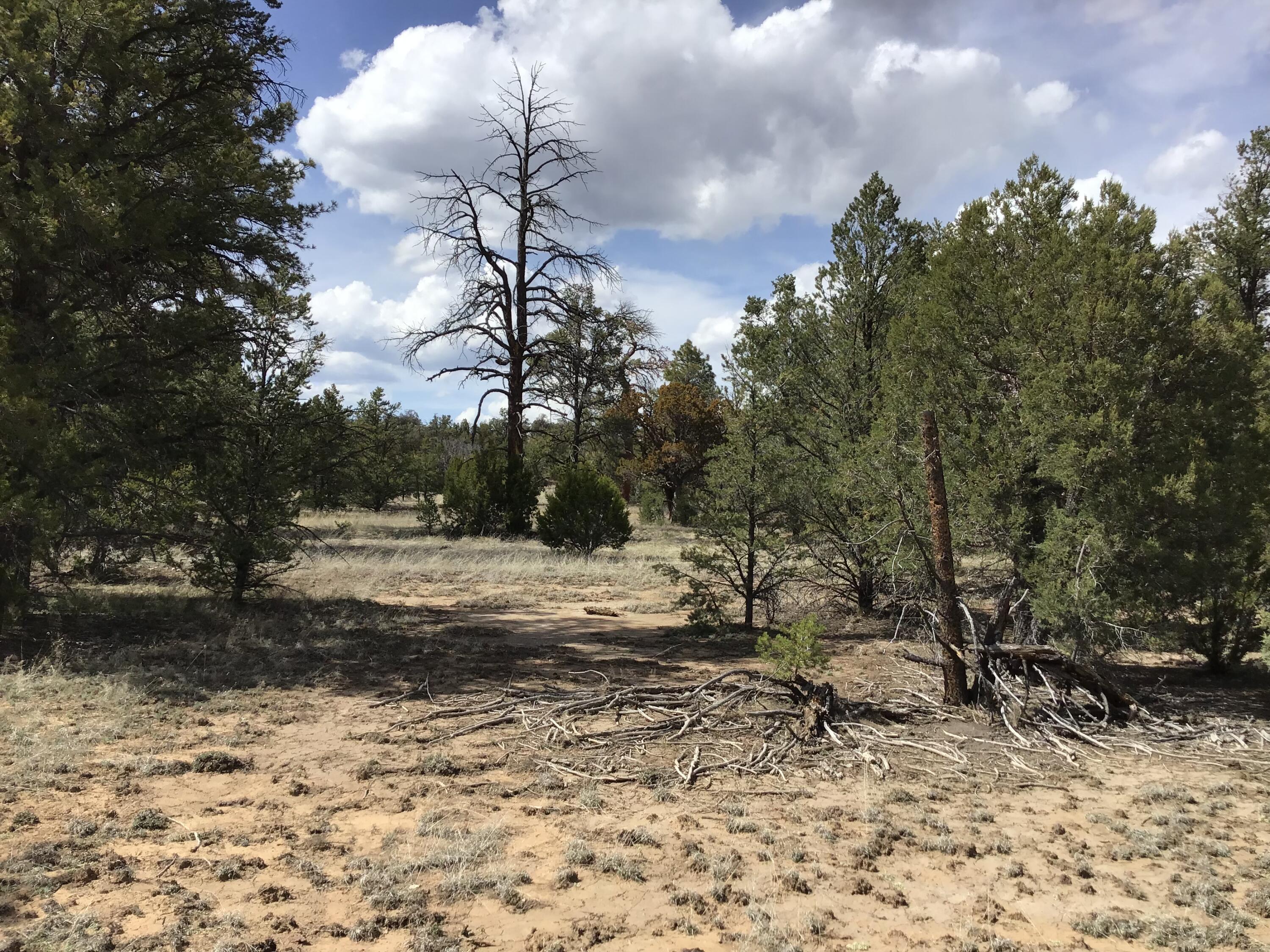 Lot 17 Davids Rock Road, Ramah, NM 87321