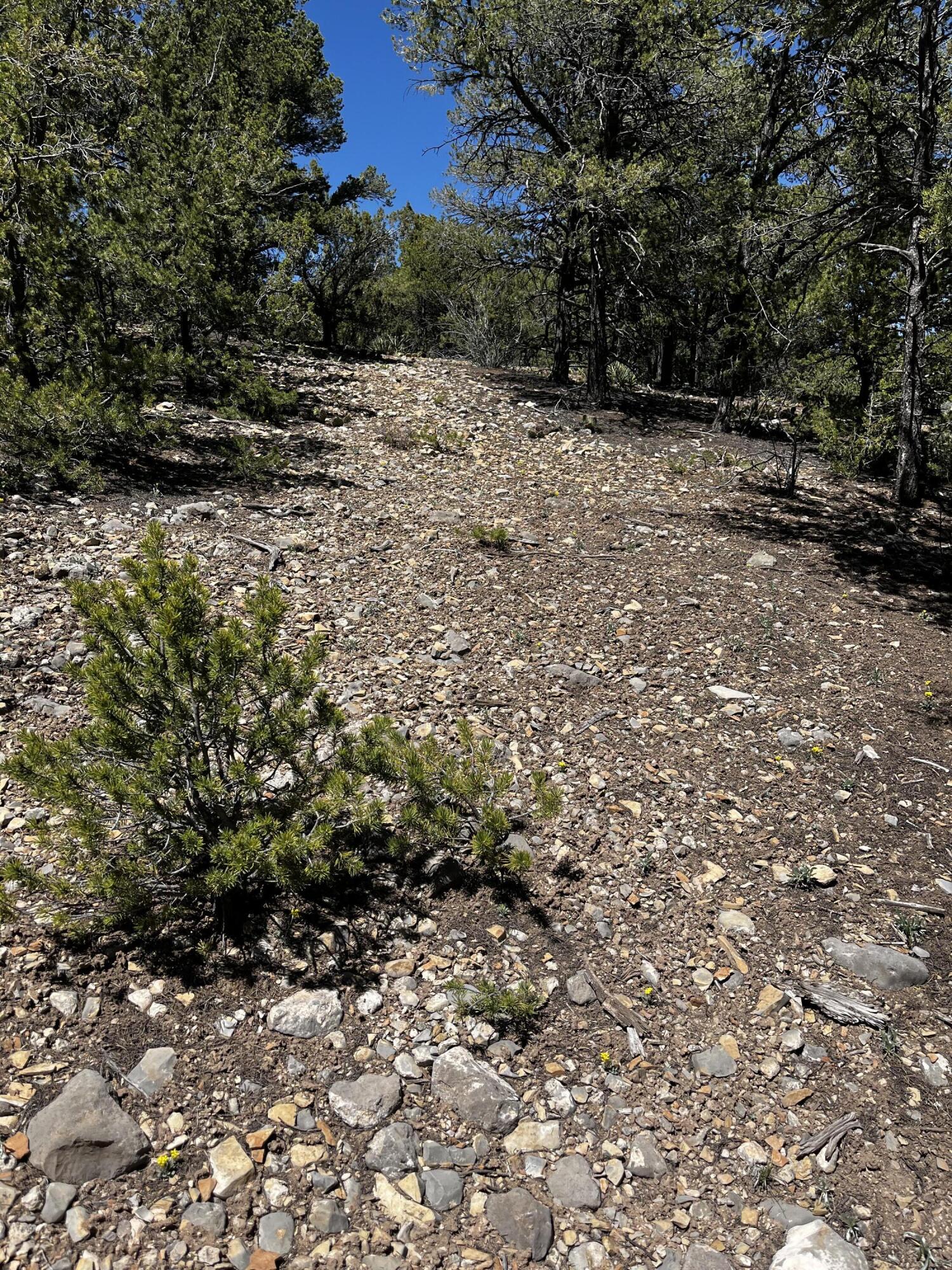 26 Rancho Verde Road, Tijeras, NM 87059