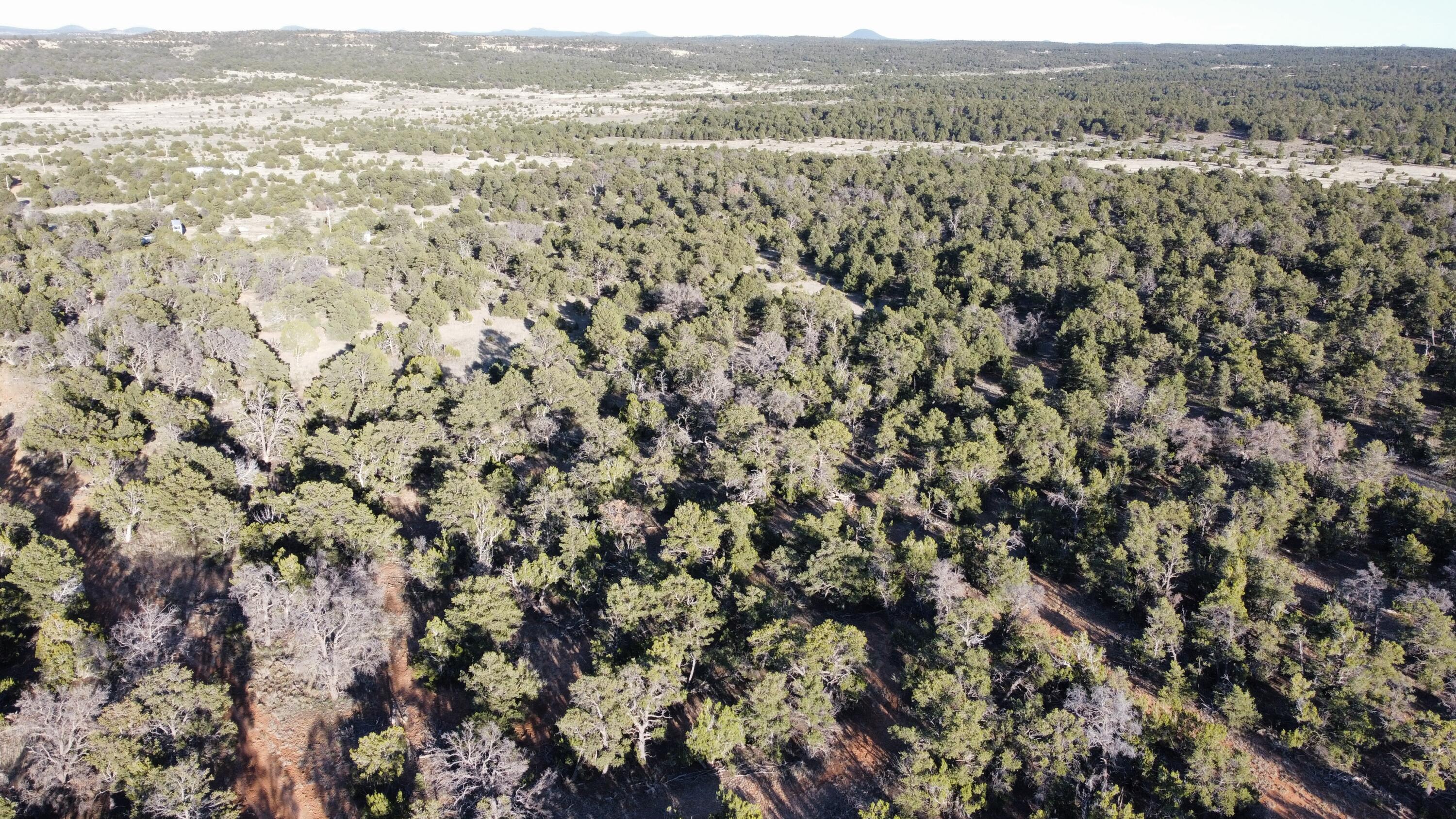 Tbd Clements Loop, Ramah, New Mexico 87321, ,Land,For Sale,Tbd Clements Loop,1034225