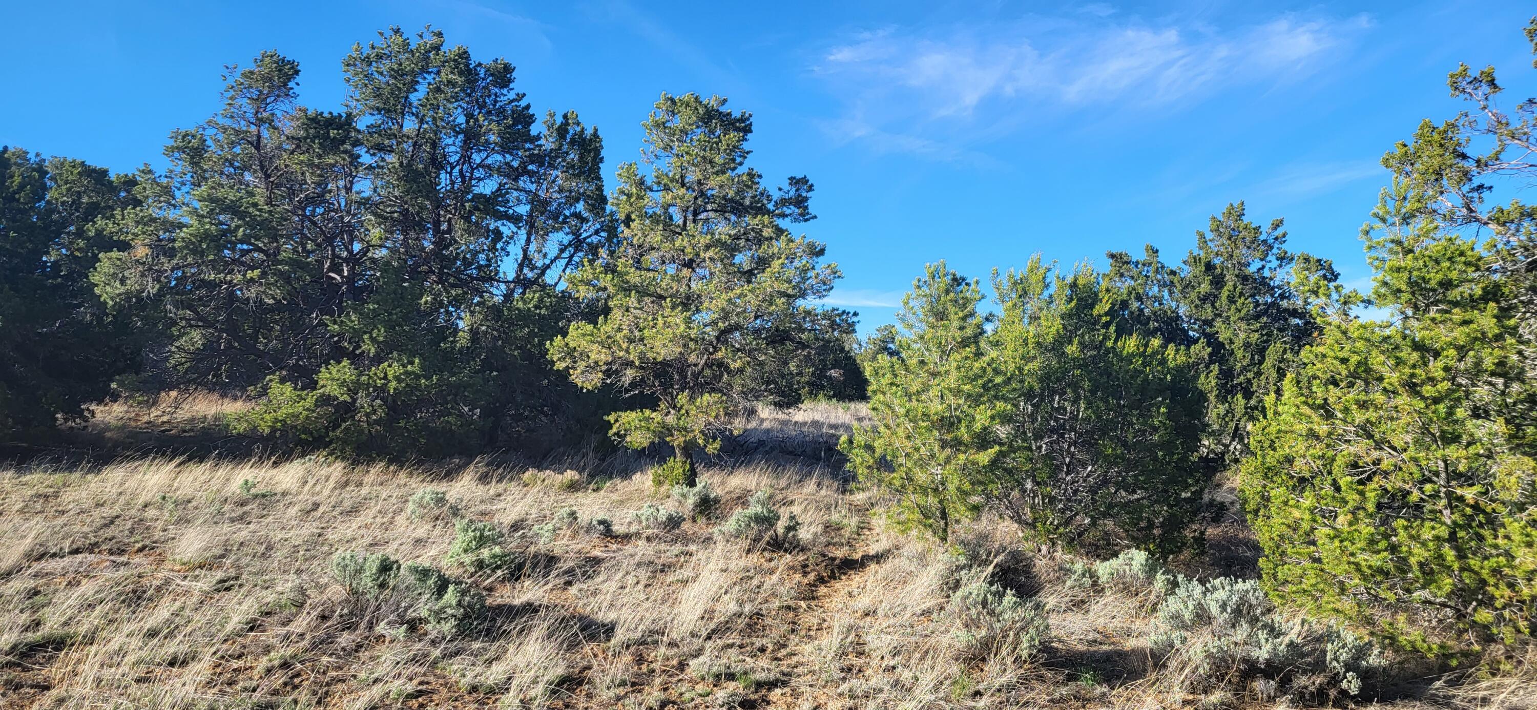 Tbd Clements Loop, Ramah, New Mexico 87321, ,Land,For Sale,Tbd Clements Loop,1034225