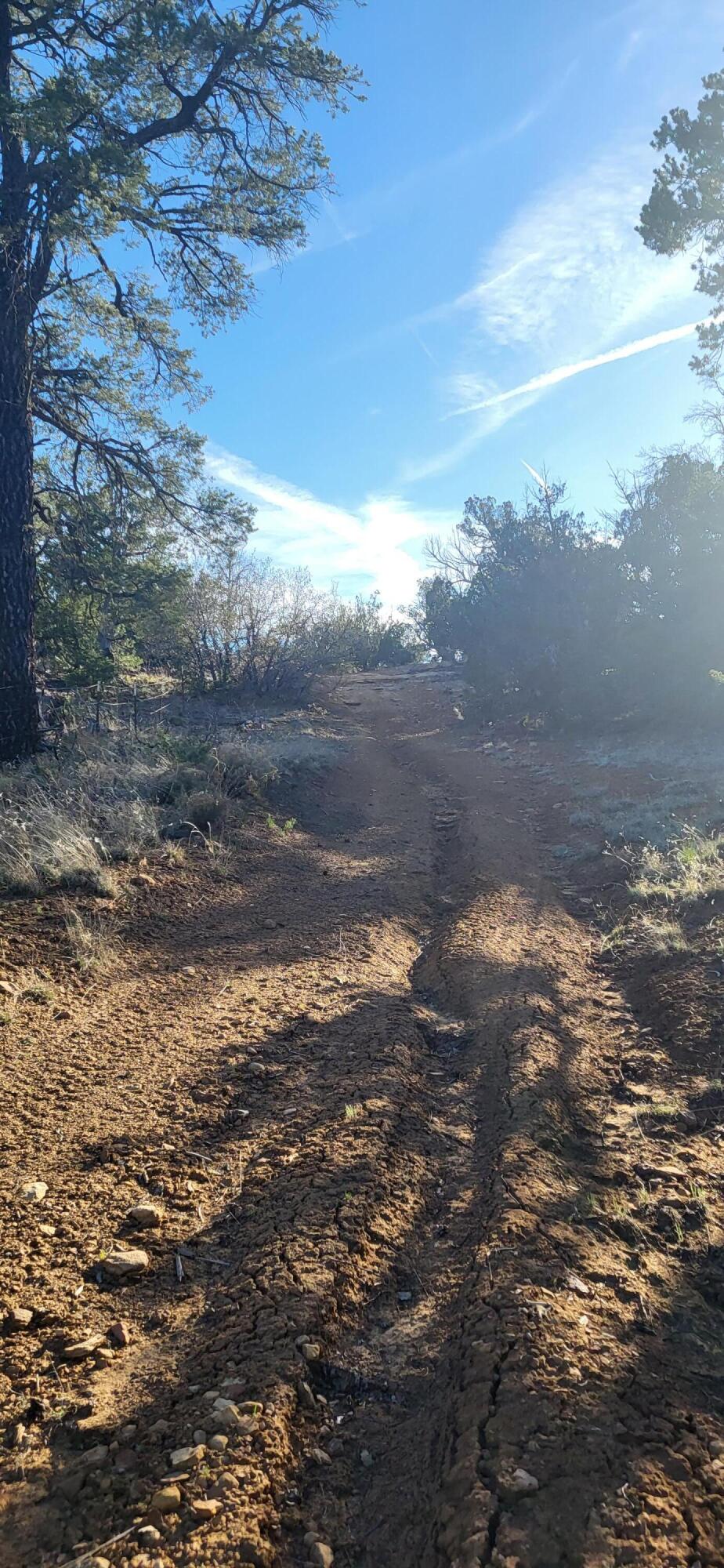 Tbd Clements Loop, Ramah, New Mexico 87321, ,Land,For Sale,Tbd Clements Loop,1034225