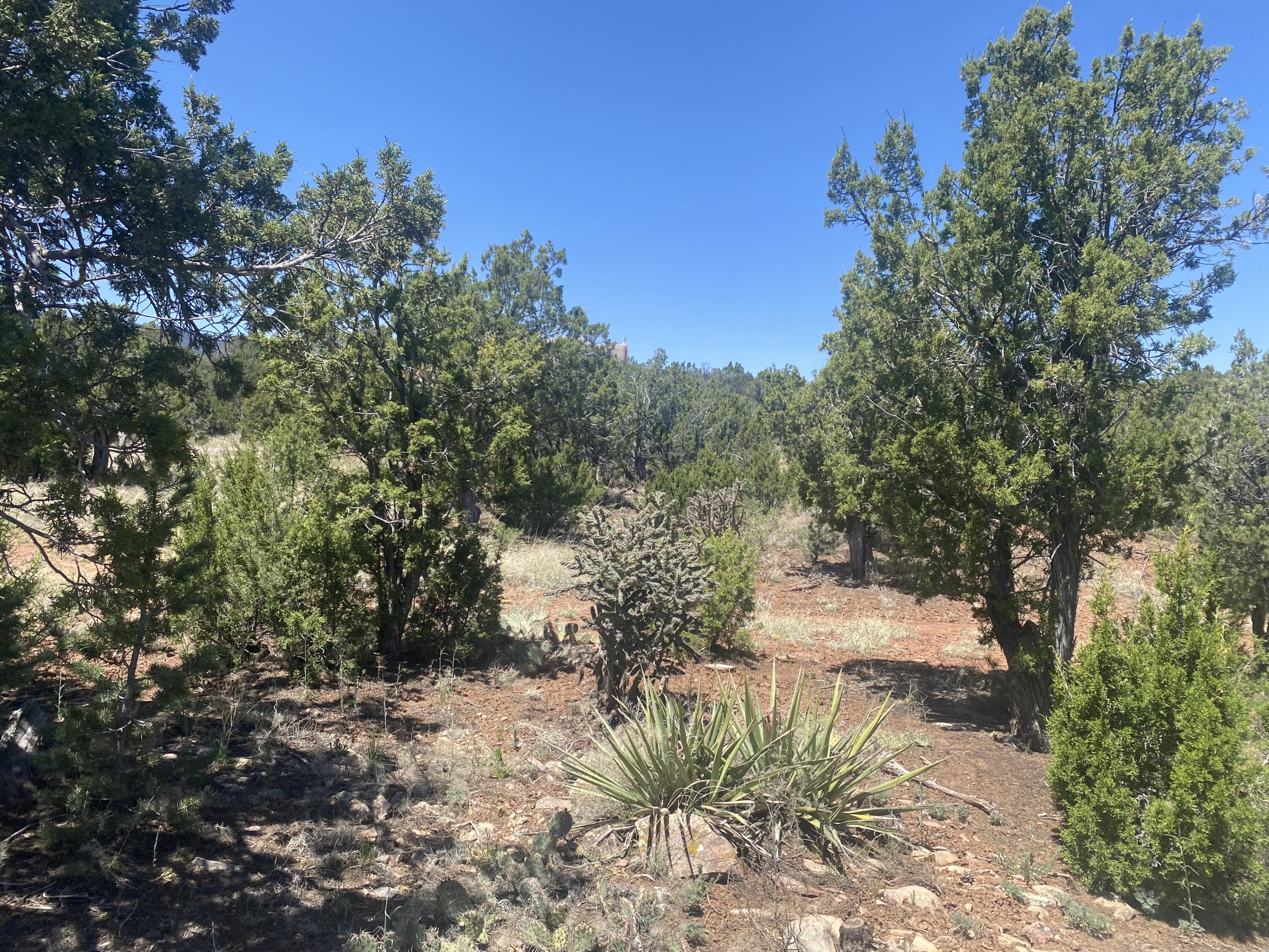 23 Chaco Loop, Sandia Park, NM 87047