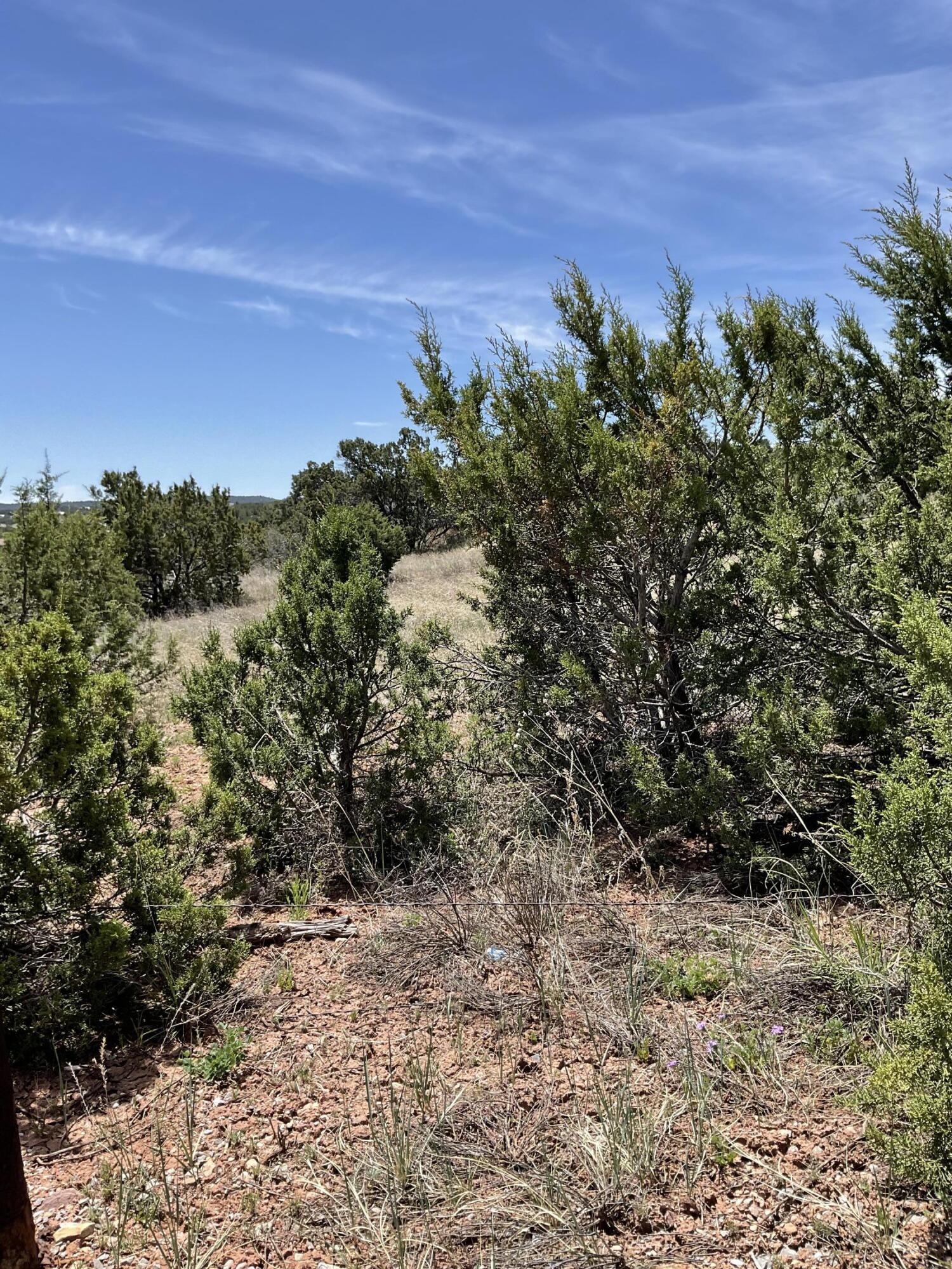 11 Valle Hermosa Road, Sandia Park, NM 87047