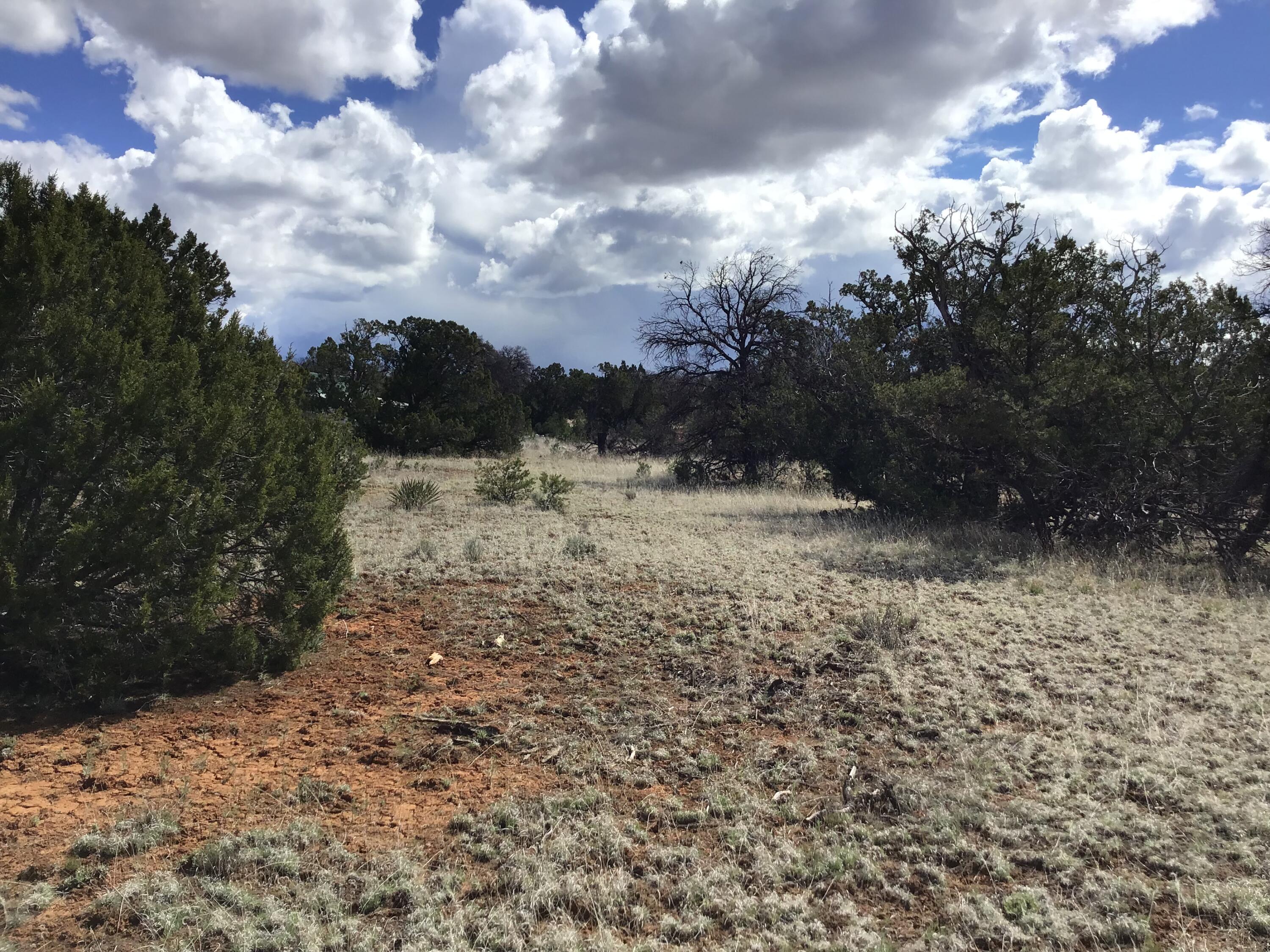 Lot 655 Gabe Road, Ramah, NM 87321